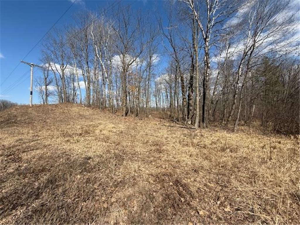 Tbd Old Highway 63 Property Photo 20