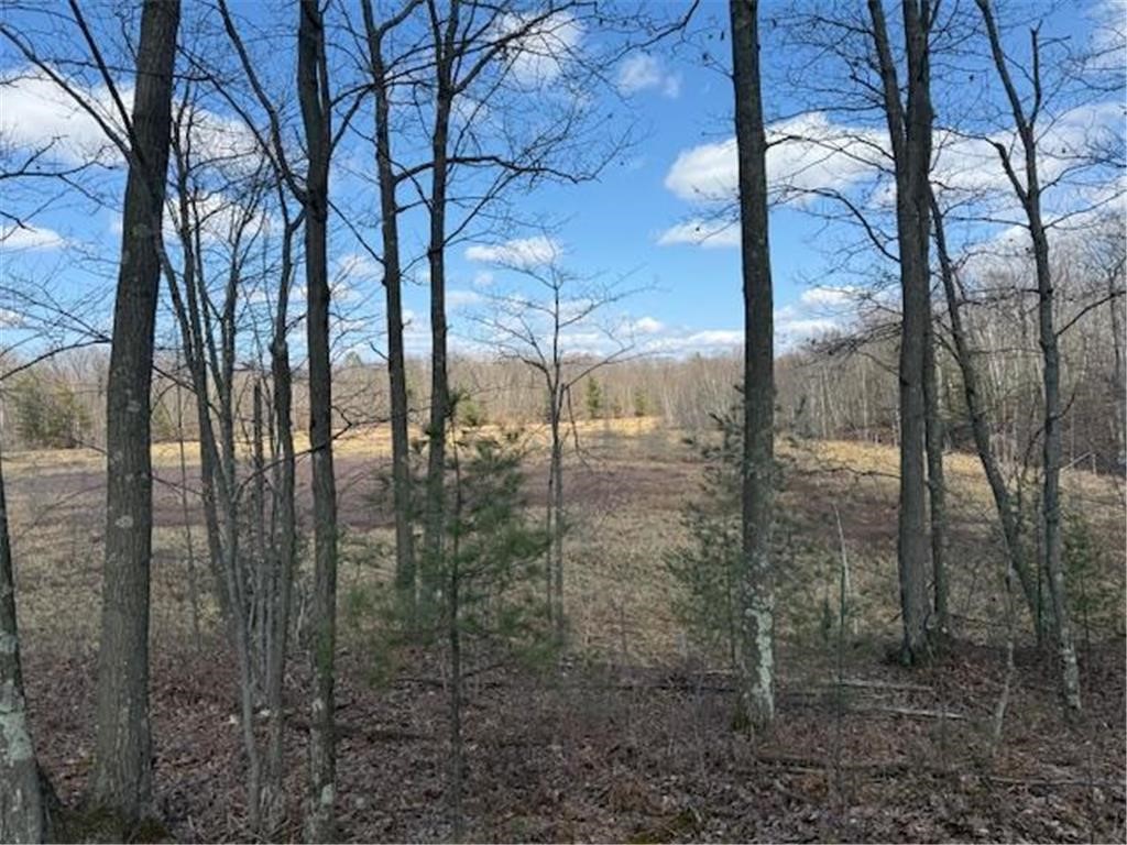 Tbd Old Highway 63 Property Photo 21