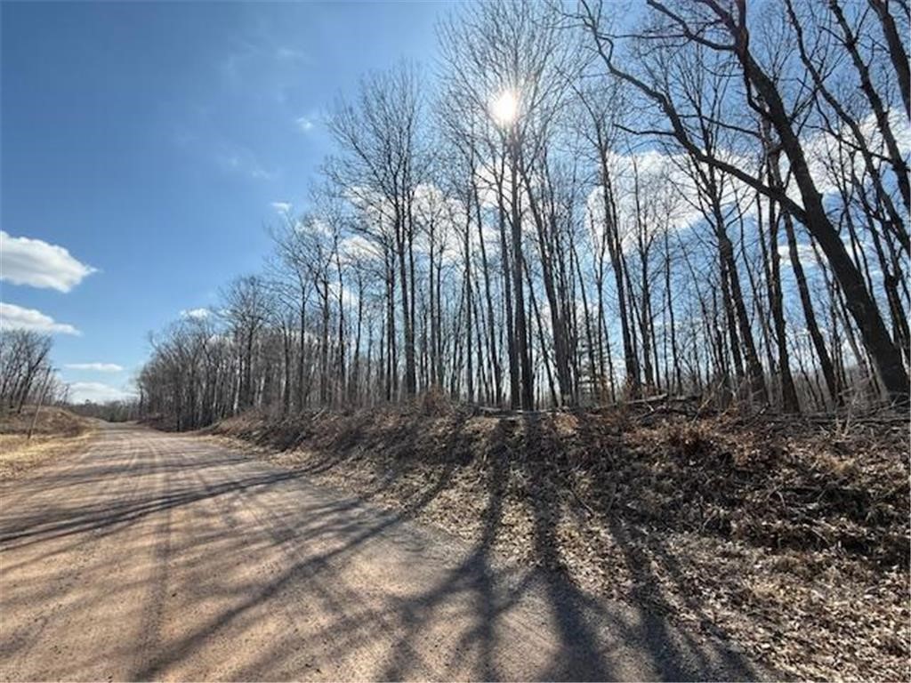 Tbd Old Highway 63 Property Photo 22