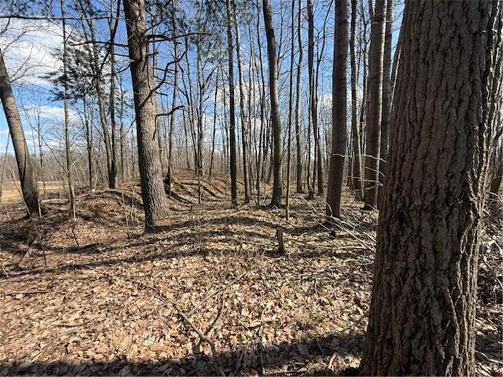 Tbd Old Highway 63 Property Photo 23