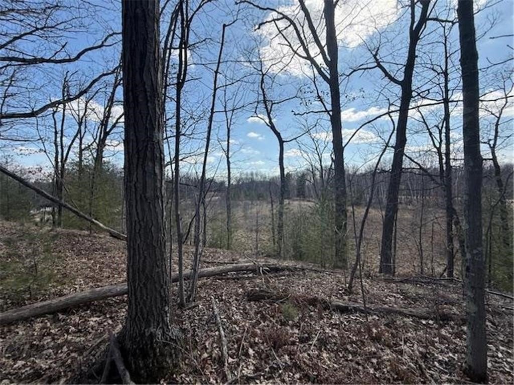 Tbd Old Highway 63 Property Photo 24
