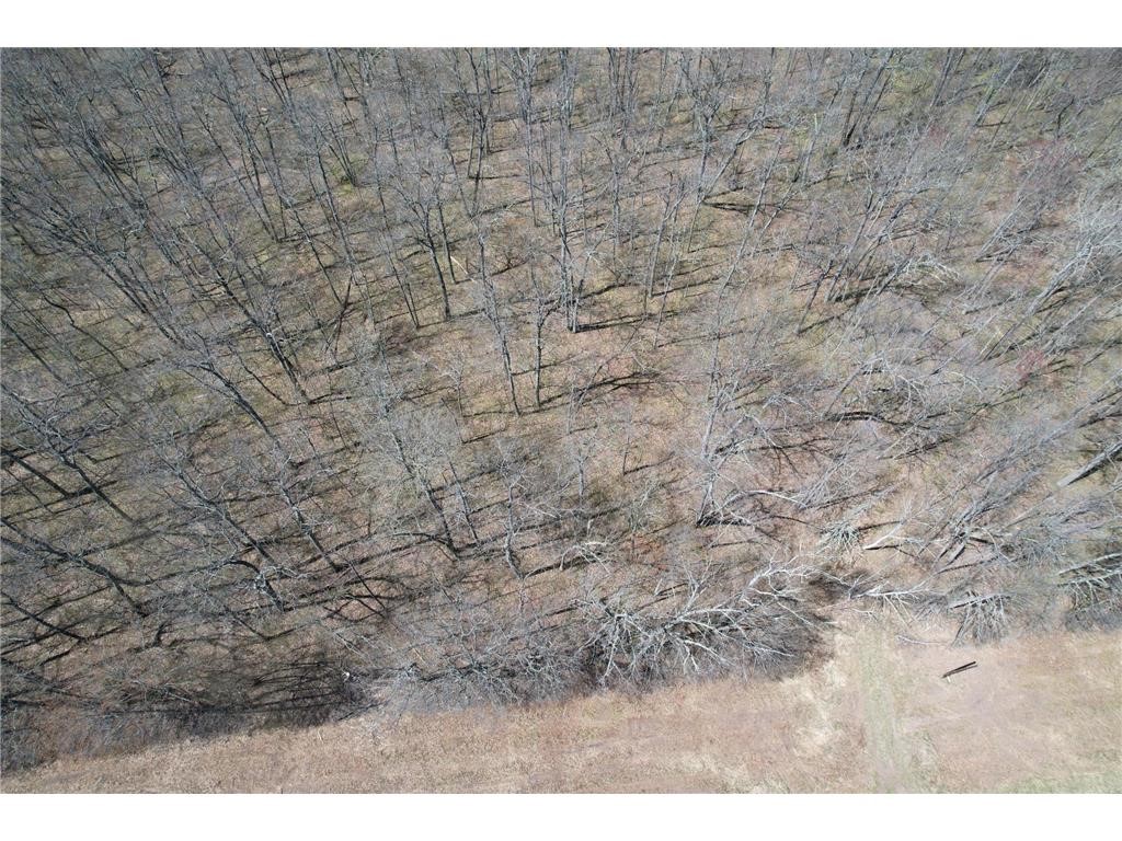 N10439 Tranus Lake Road Property Photo 19