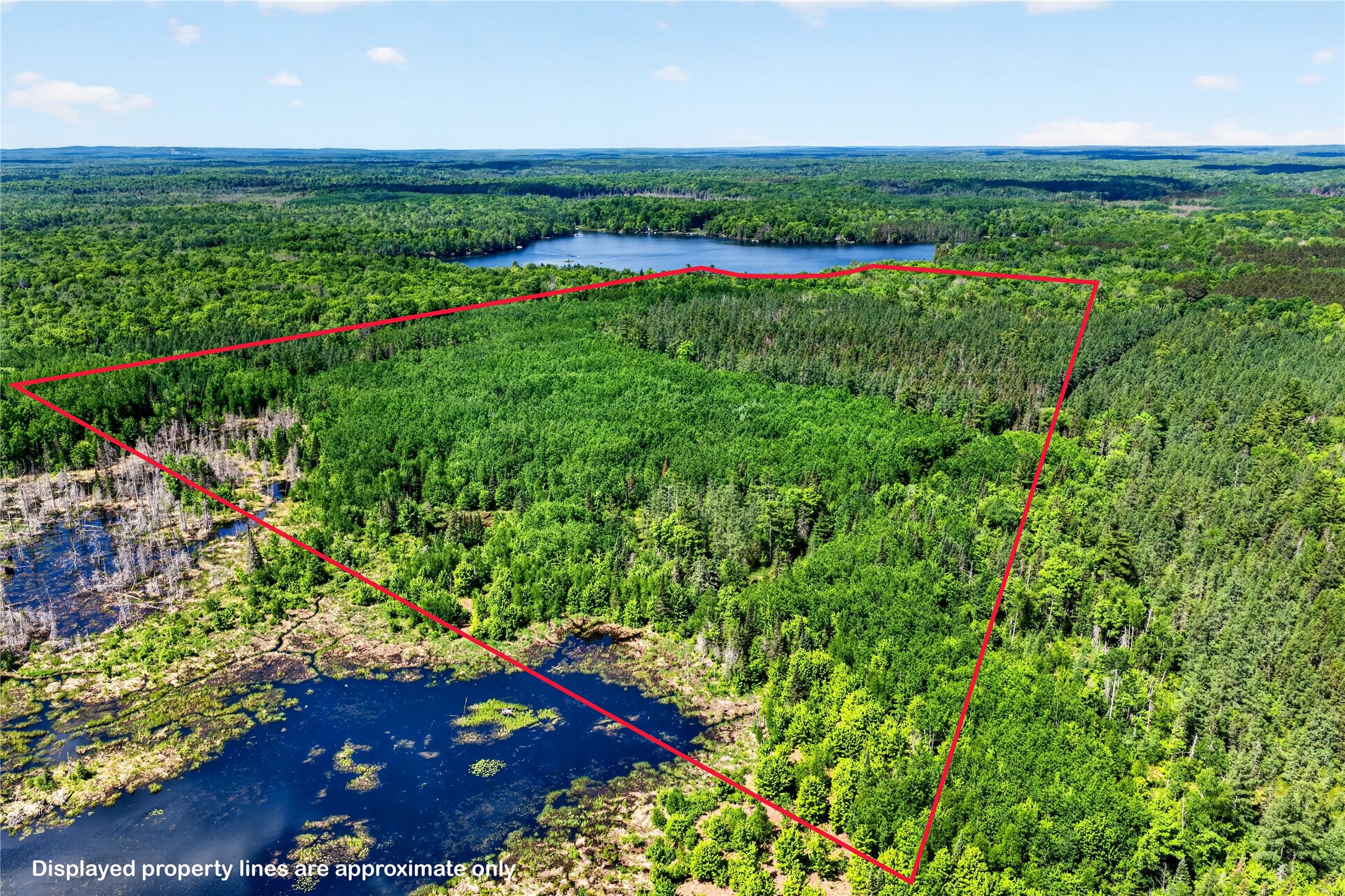 48285 Lake Knotting Lane Property Photo 5