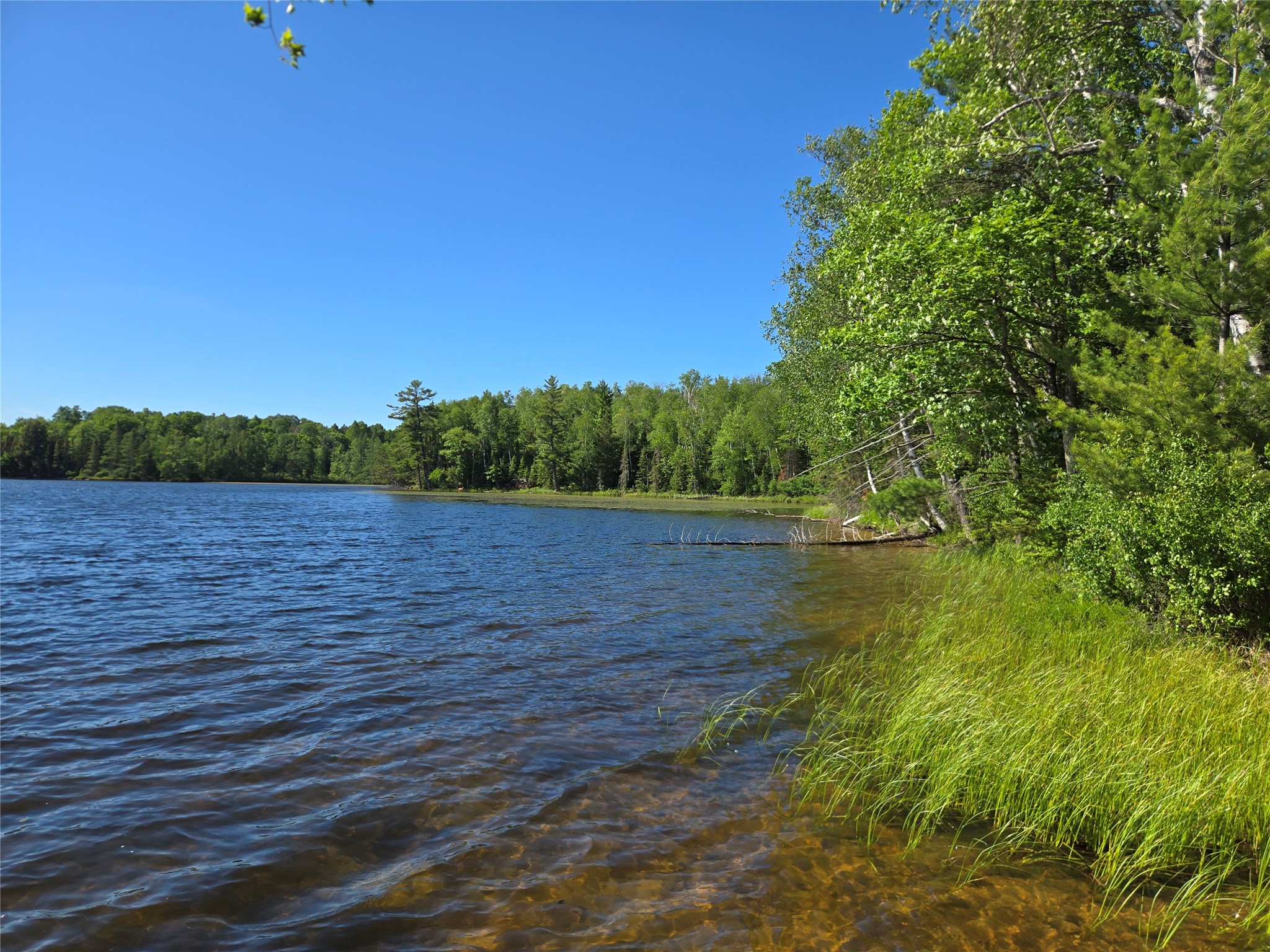 48285 Lake Knotting Lane Property Photo 20
