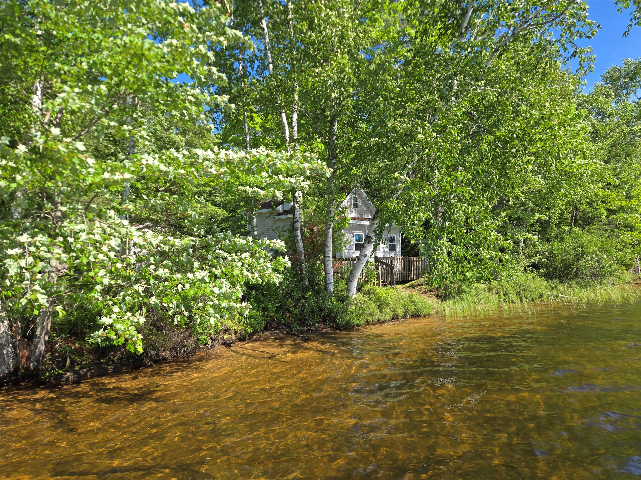 48285 Lake Knotting Lane Property Photo 24