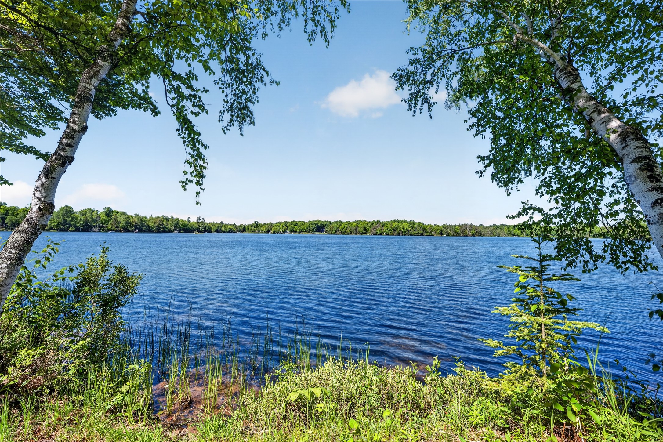 48285 Lake Knotting Lane Property Photo 39