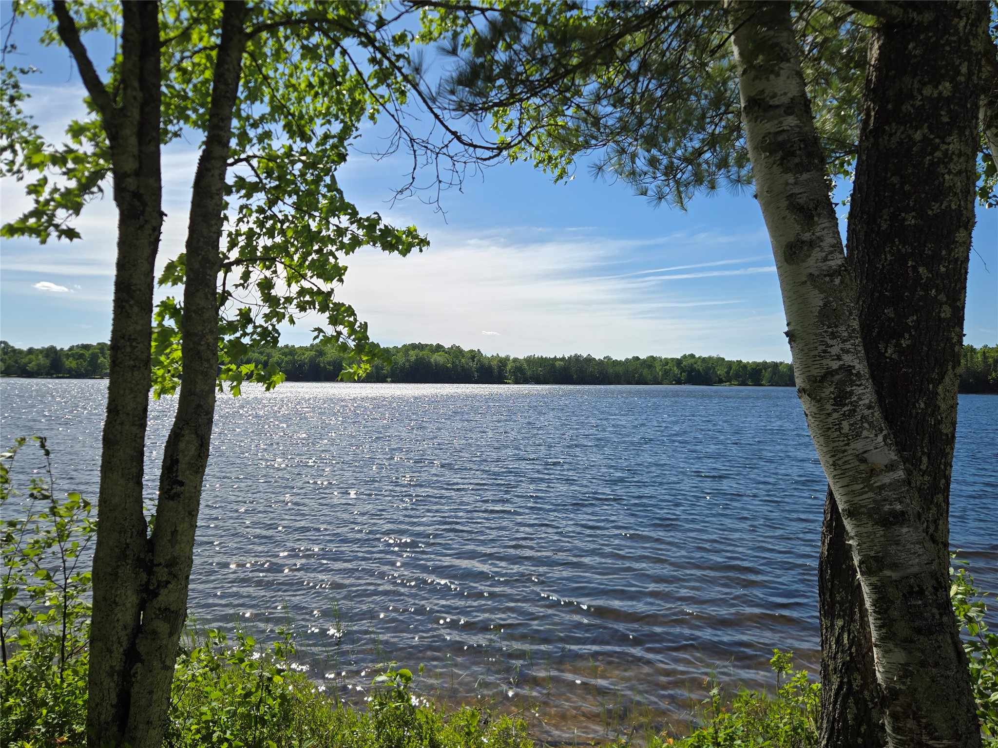 48285 Lake Knotting Lane Property Photo 43