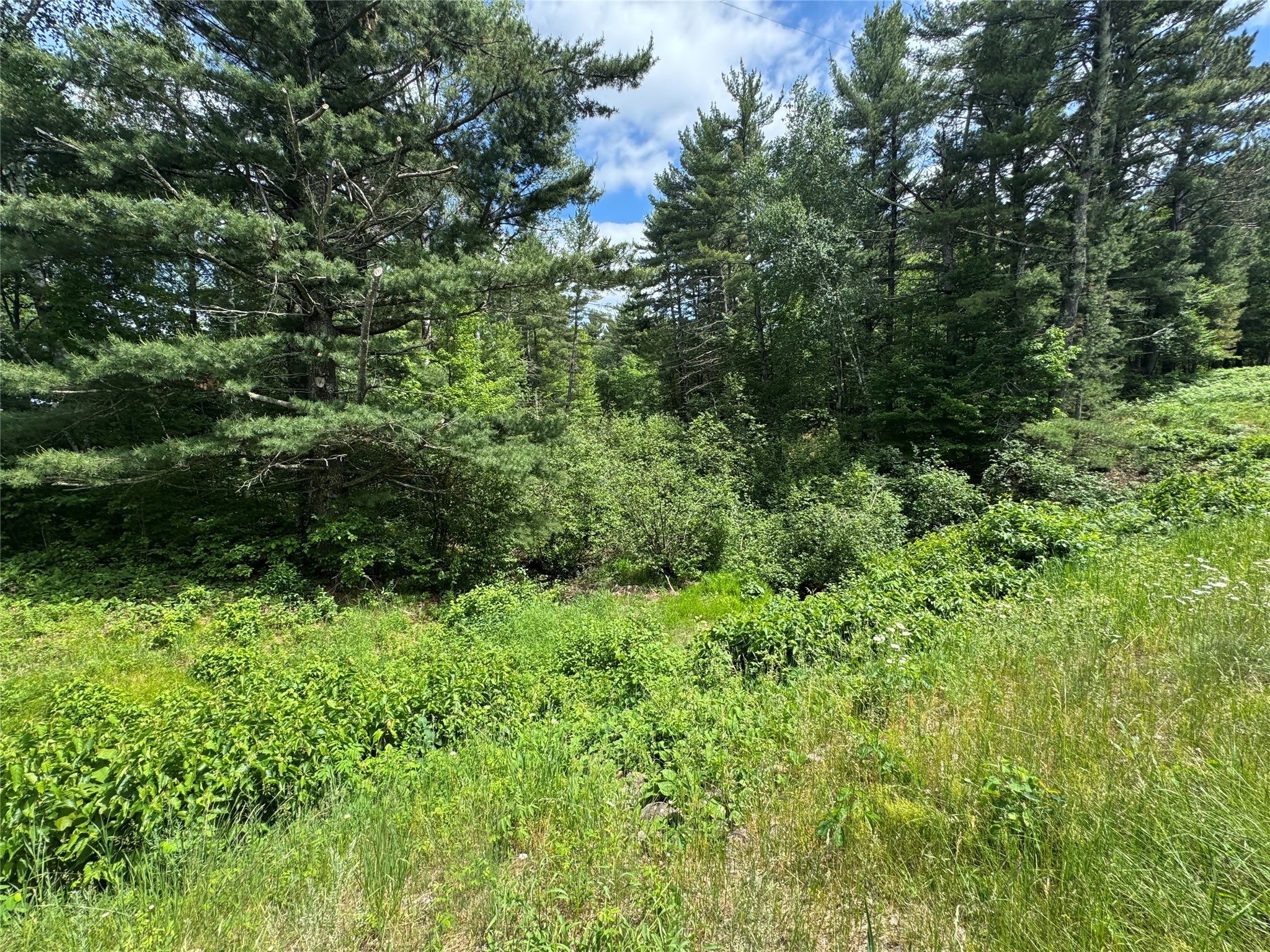 N 6398 Fred Tripp Road Property Photo 3