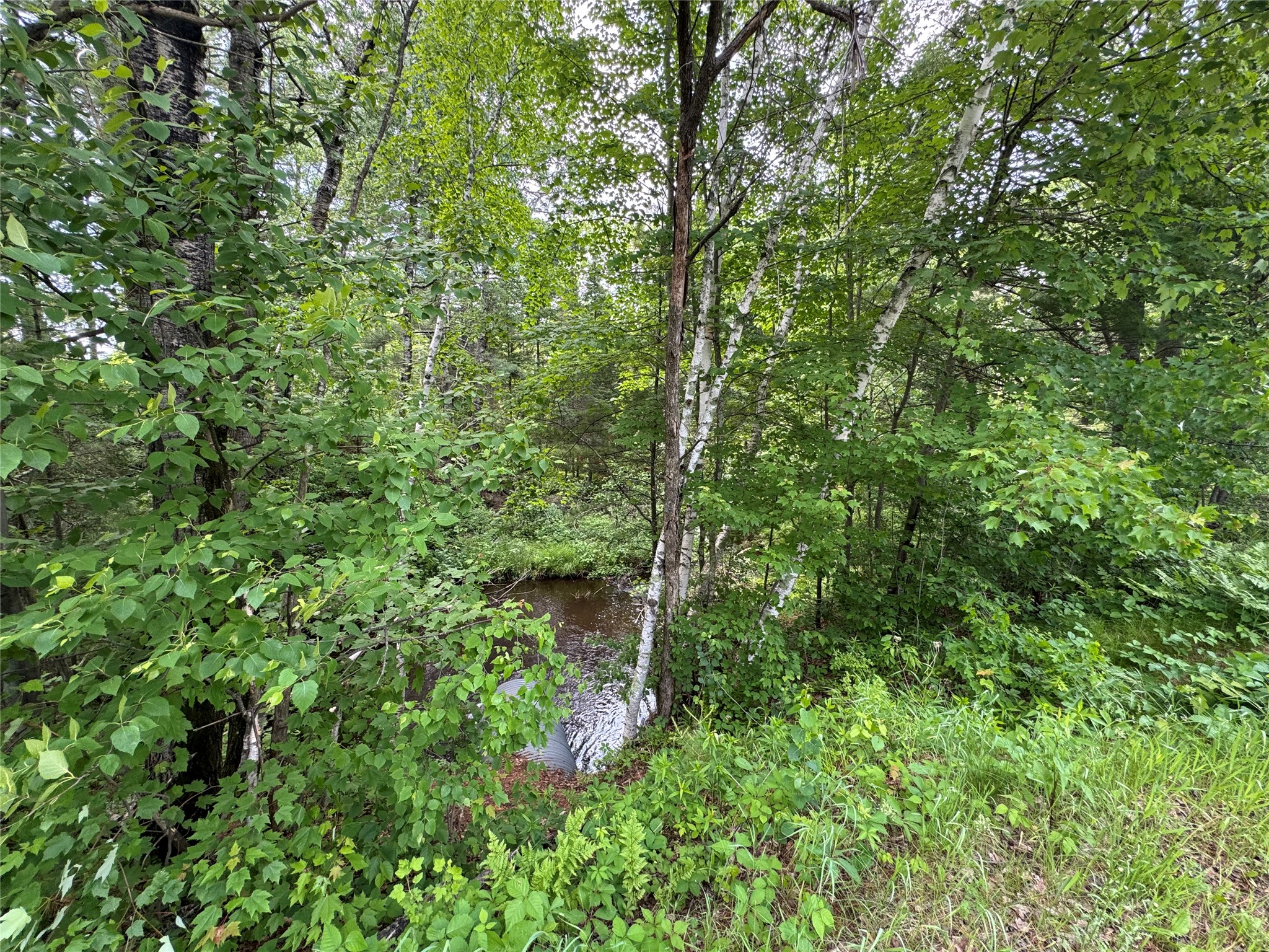 N 6398 Fred Tripp Road Property Photo 6
