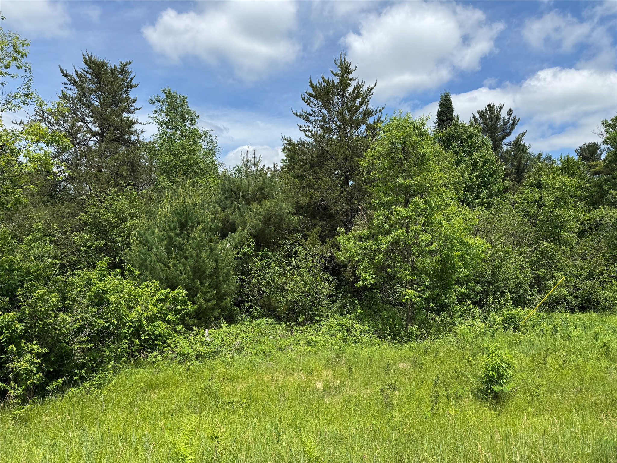 N 6398 Fred Tripp Road Property Photo 7