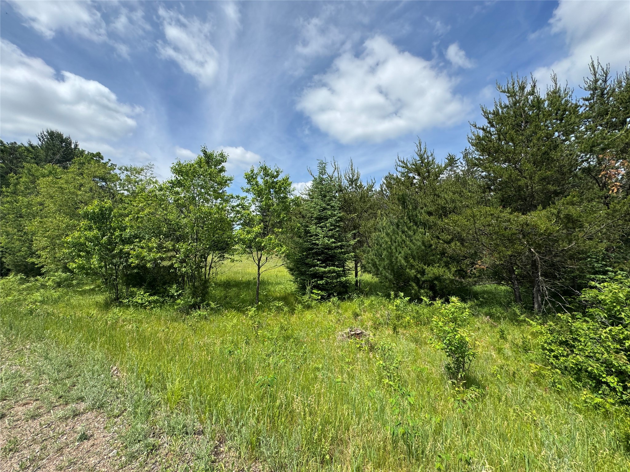 N 6398 Fred Tripp Road Property Photo 10