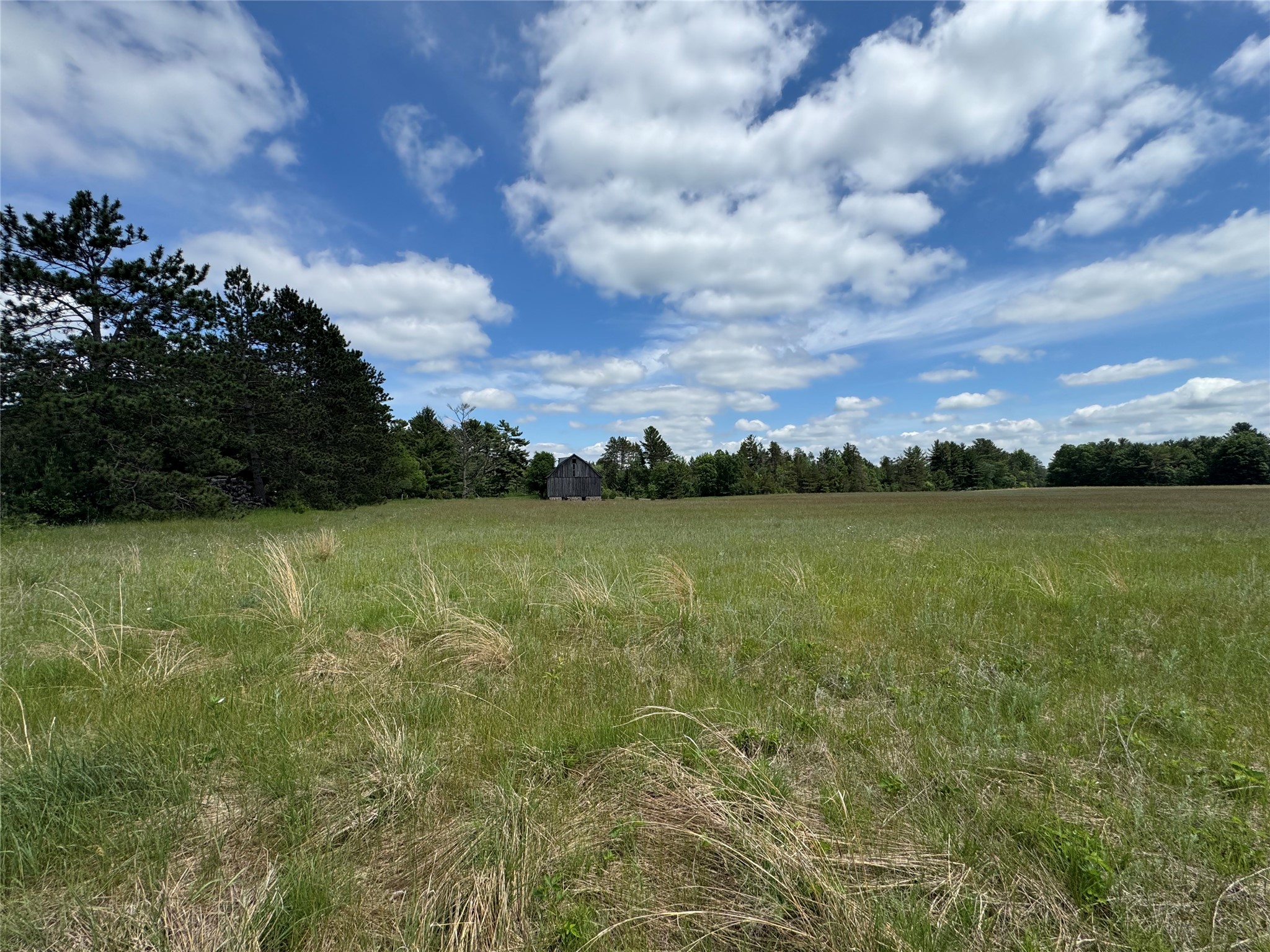 N 6398 Fred Tripp Road Property Photo 15