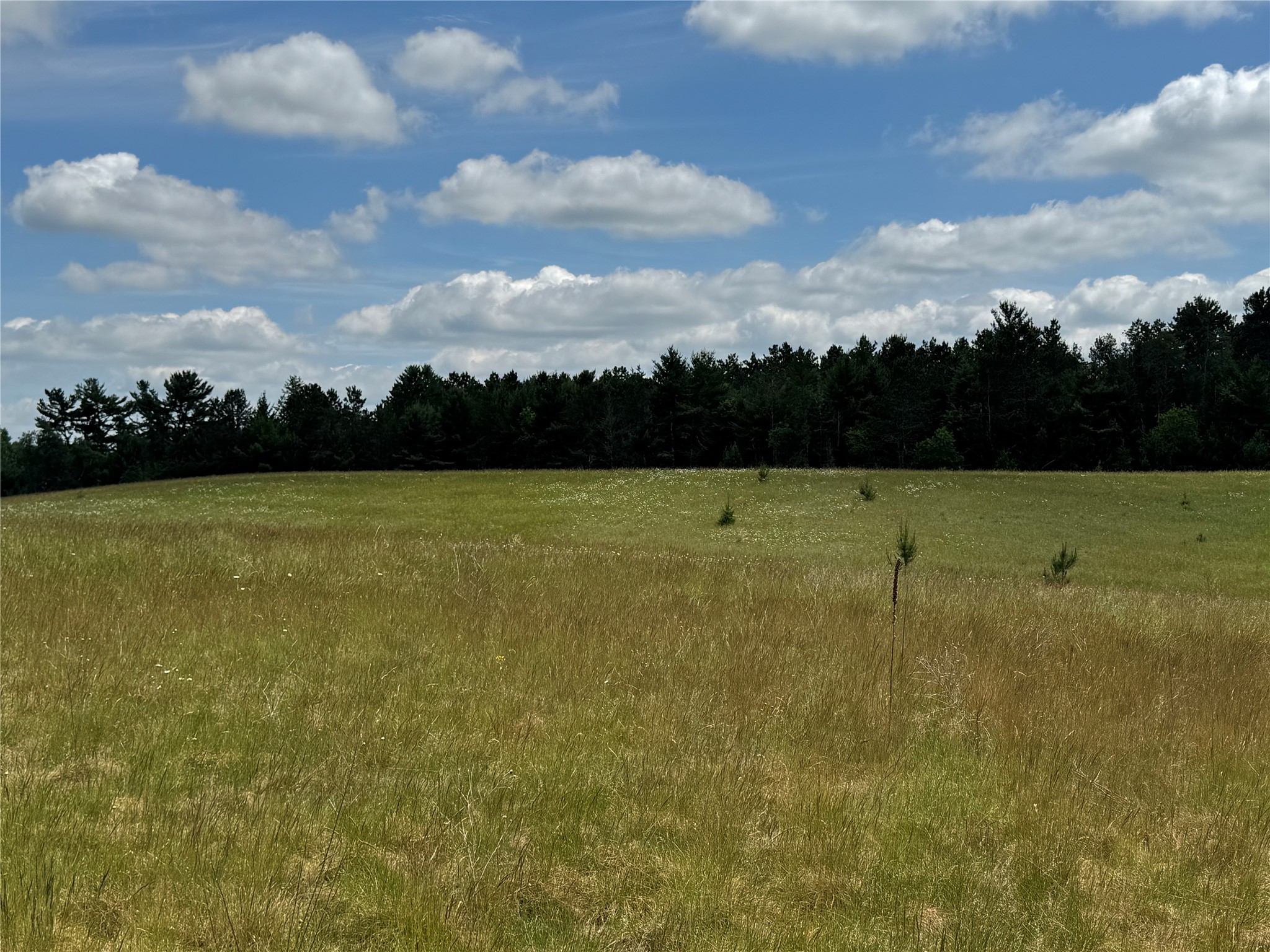 N 6398 Fred Tripp Road Property Photo 27