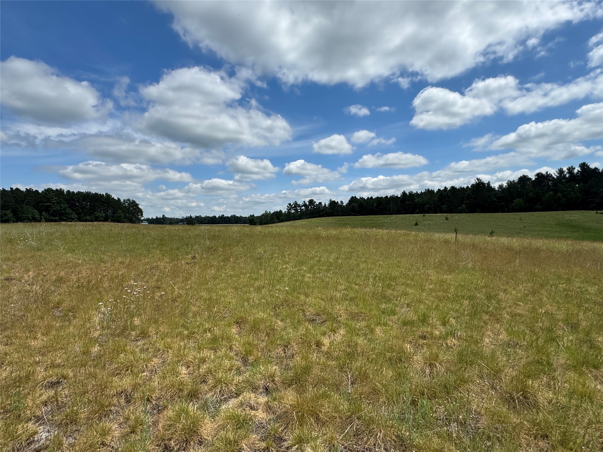 N 6398 Fred Tripp Road Property Photo 32