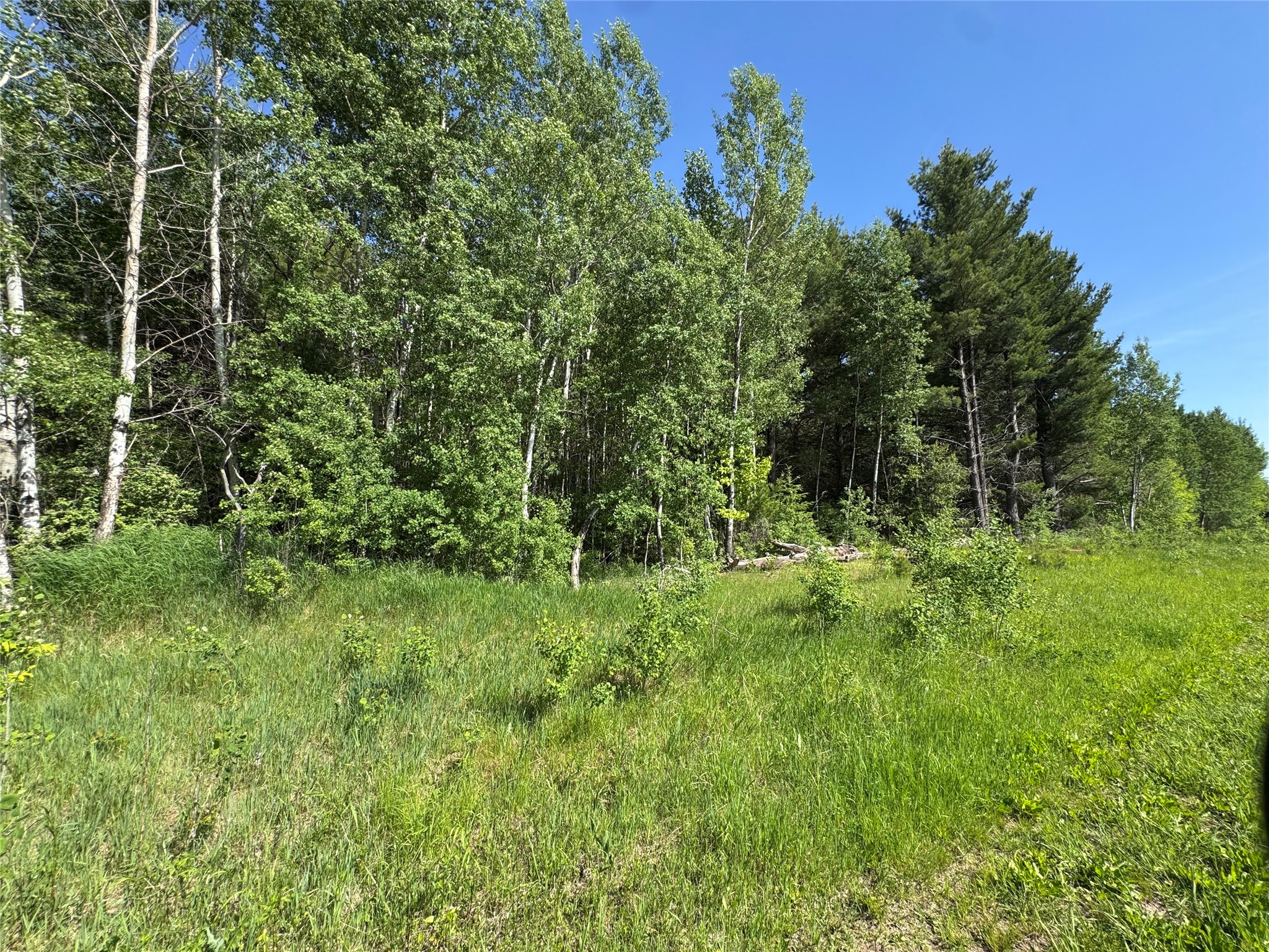 000 County Road K Property Photo 20