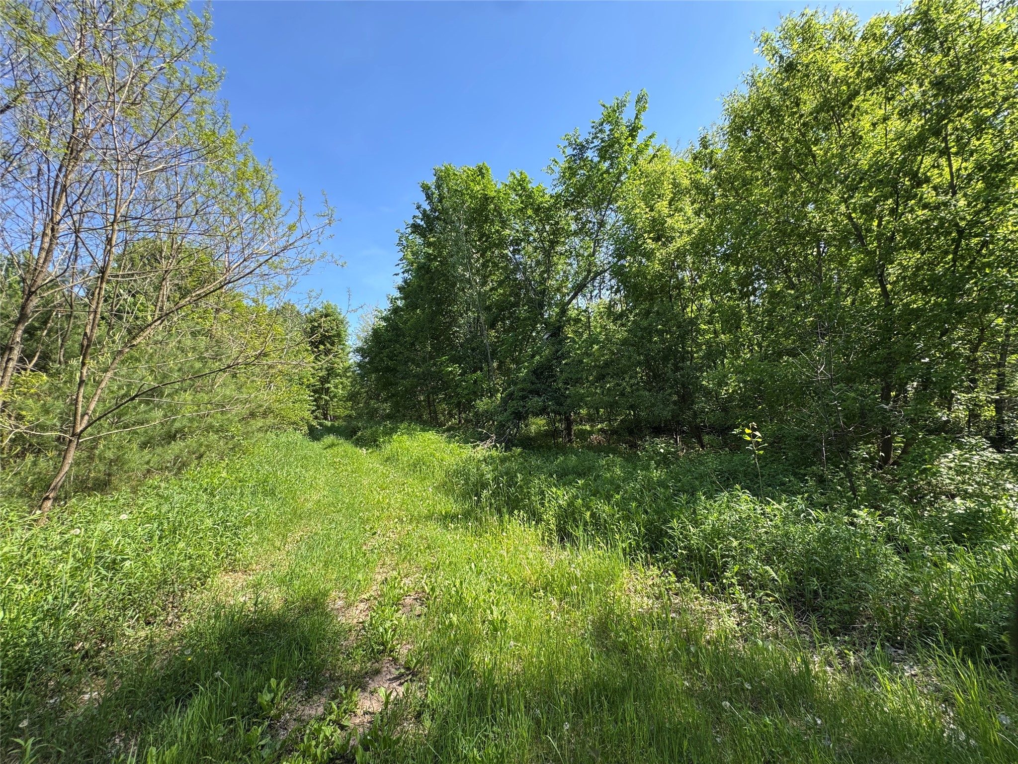 000 County Highway K Property Photo 21