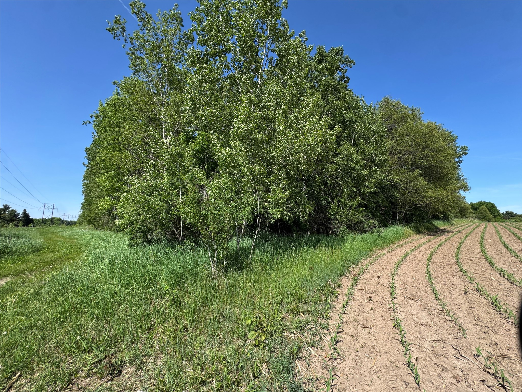 000 County Highway K Property Photo 24