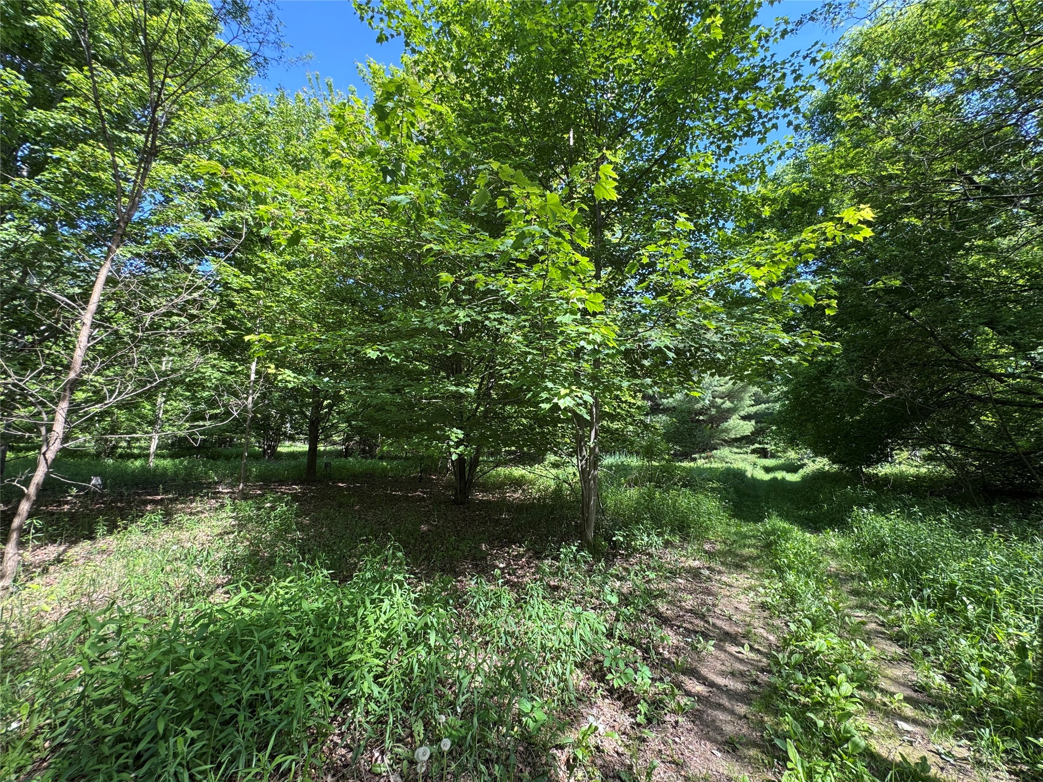 000 County Highway K Property Photo 25