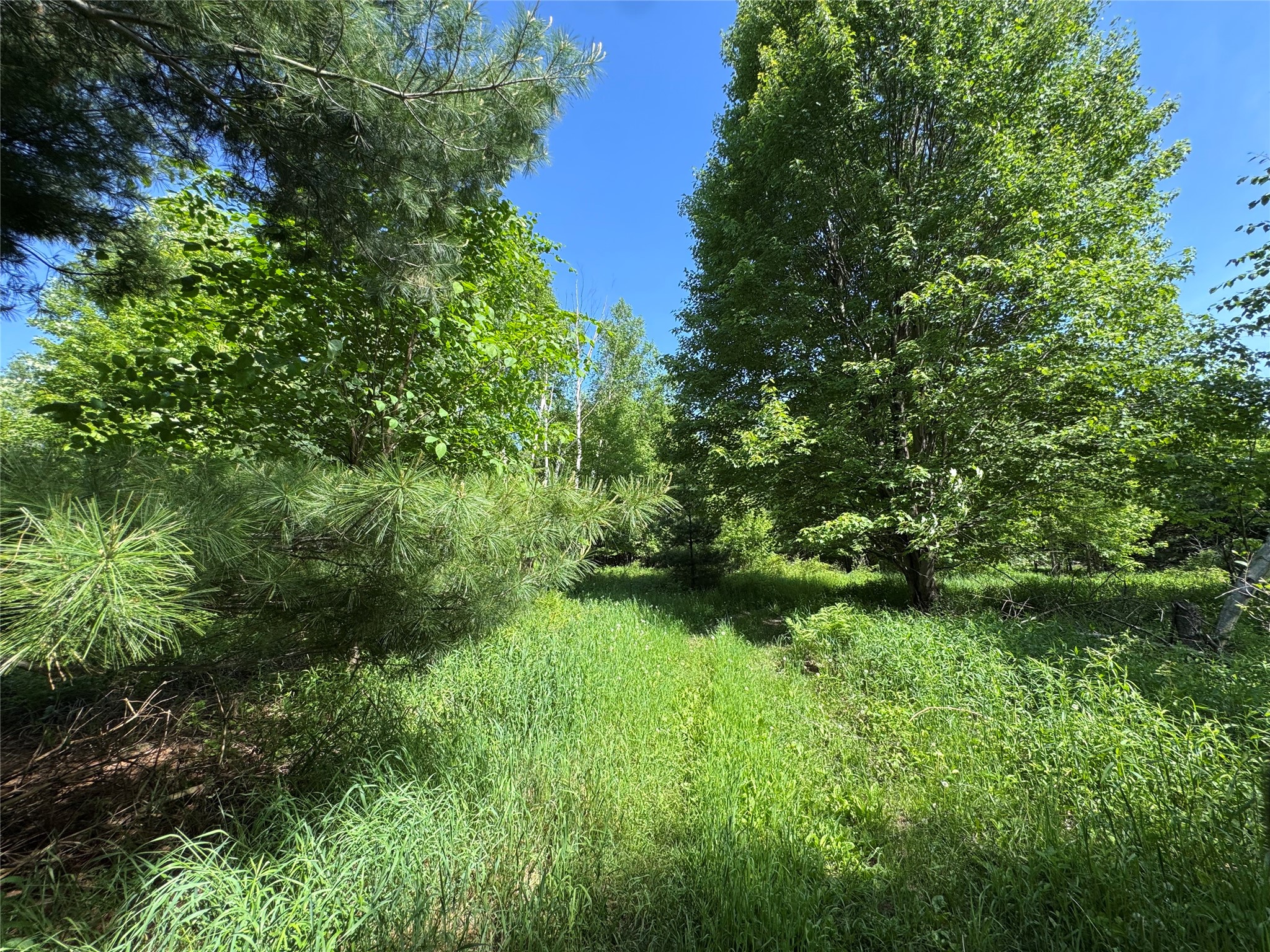 000 County Highway K Property Photo 26