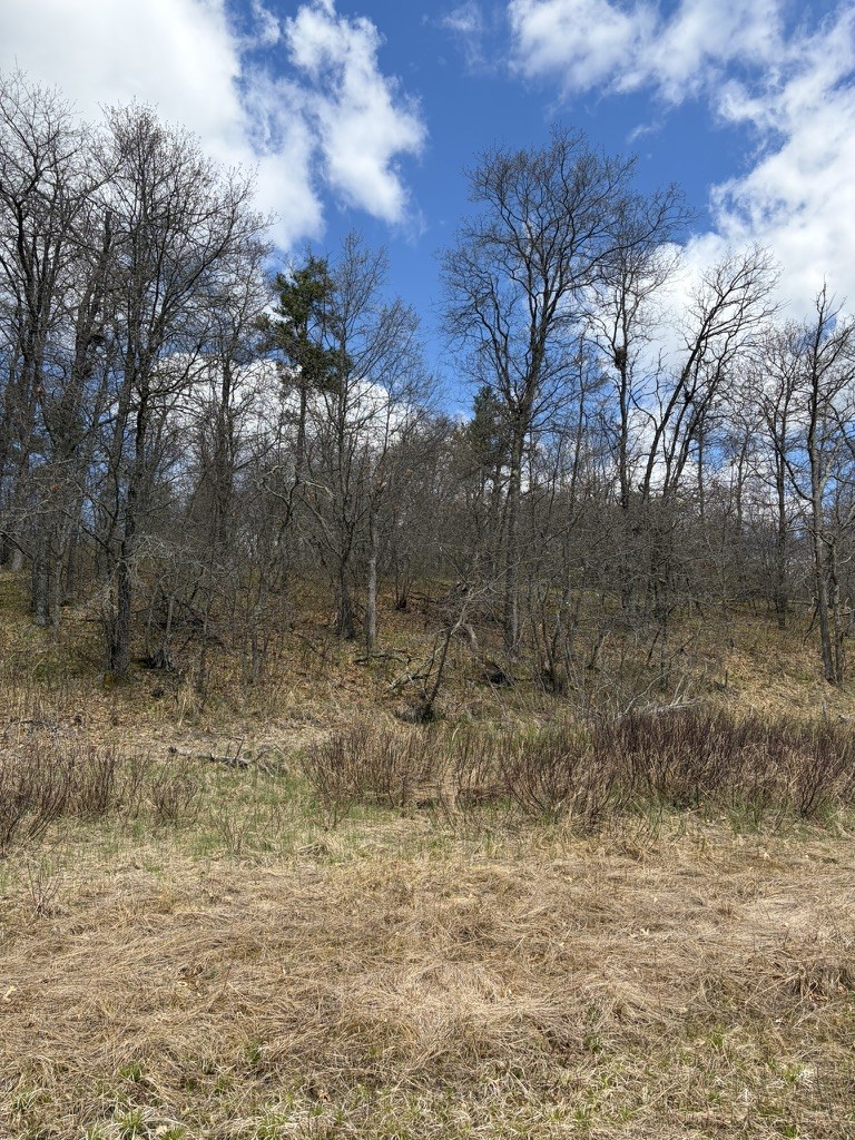 Lot 2 Sleepy Eye Road Property Photo 4