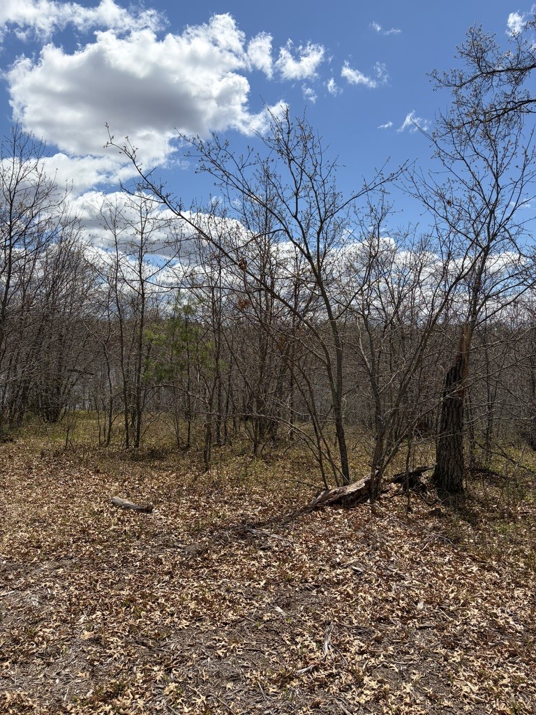 Lot 2 Sleepy Eye Road Property Photo 7