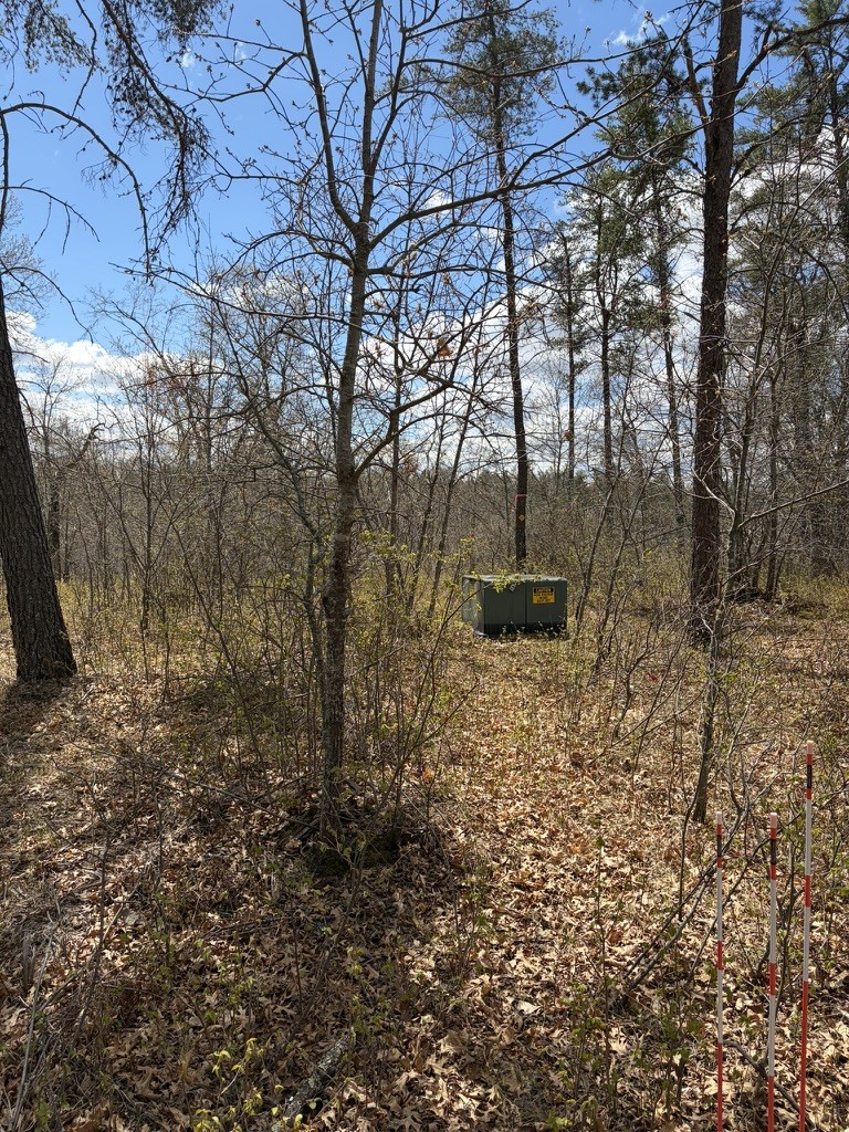 Lot 2 Sleepy Eye Road Property Photo 8