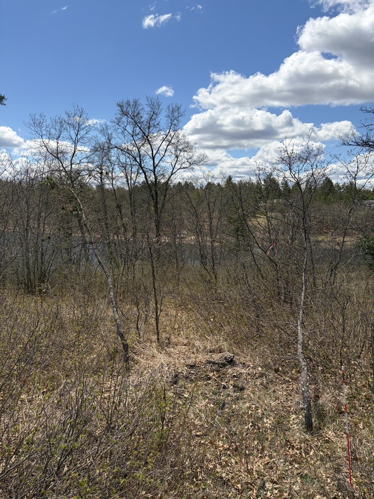 Lot 2 Sleepy Eye Road Property Photo 9