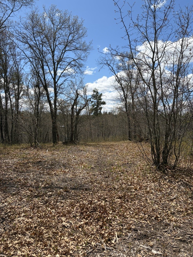 Lot 2 Sleepy Eye Road Property Photo 10