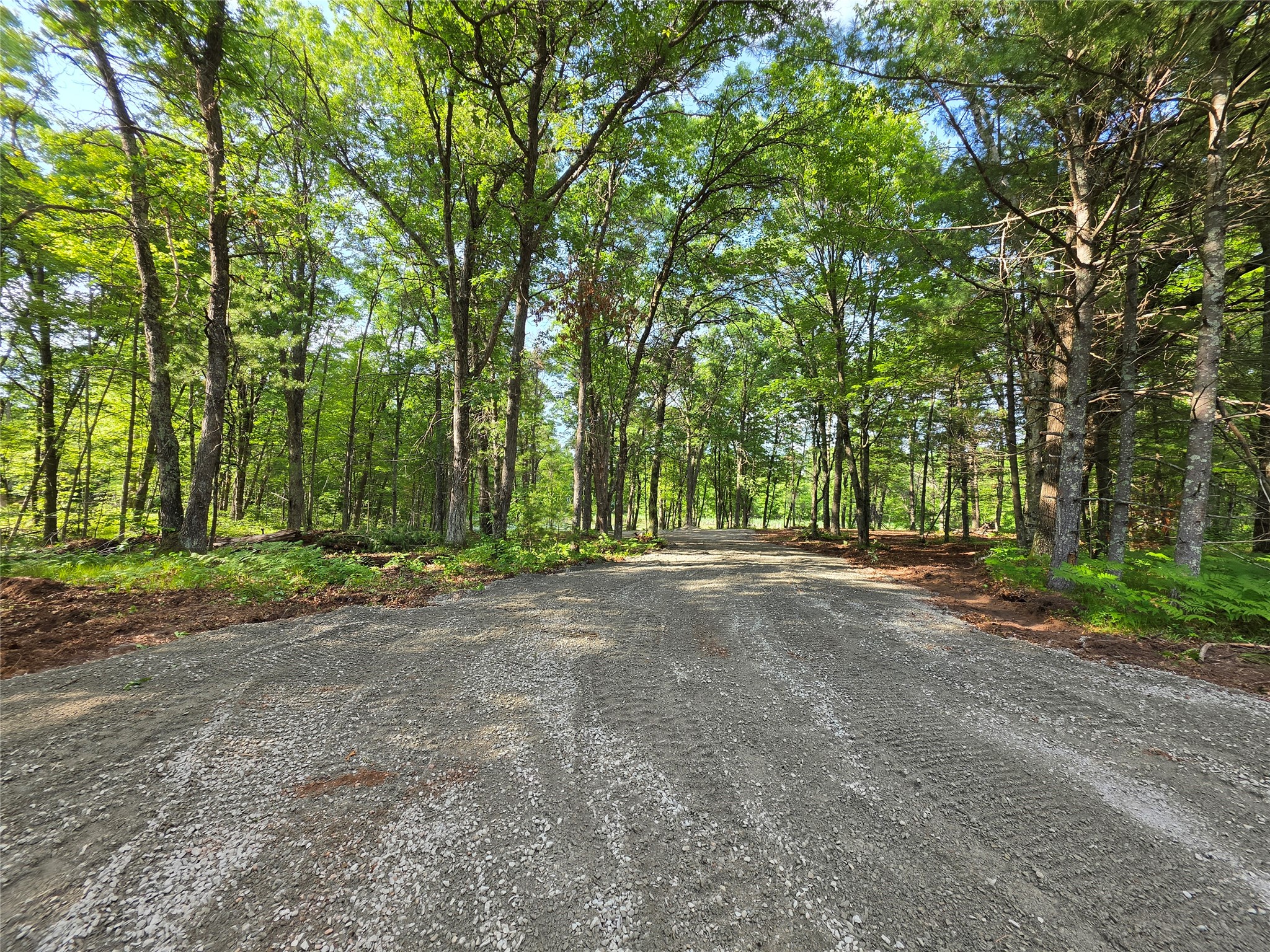 27646 295th (lot 14) Avenue Property Photo 2