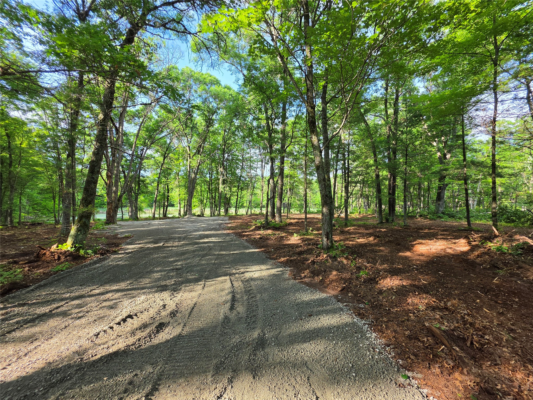 27646 295th (lot 14) Avenue Property Photo 3