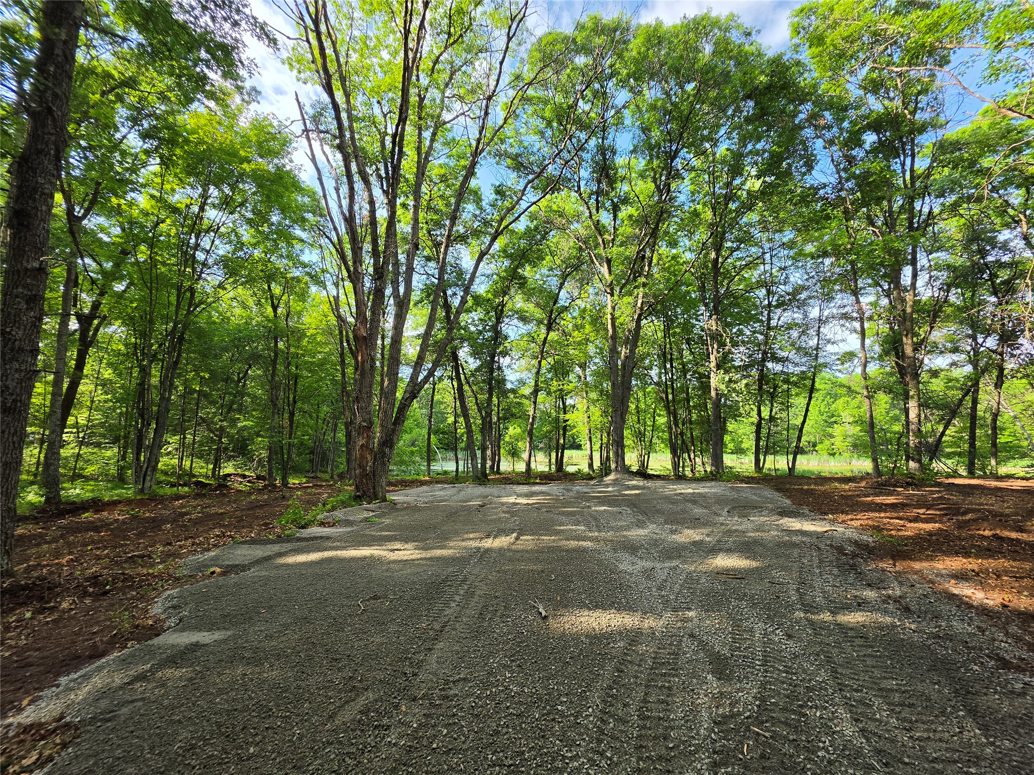 27646 295th (lot 14) Avenue Property Photo 4