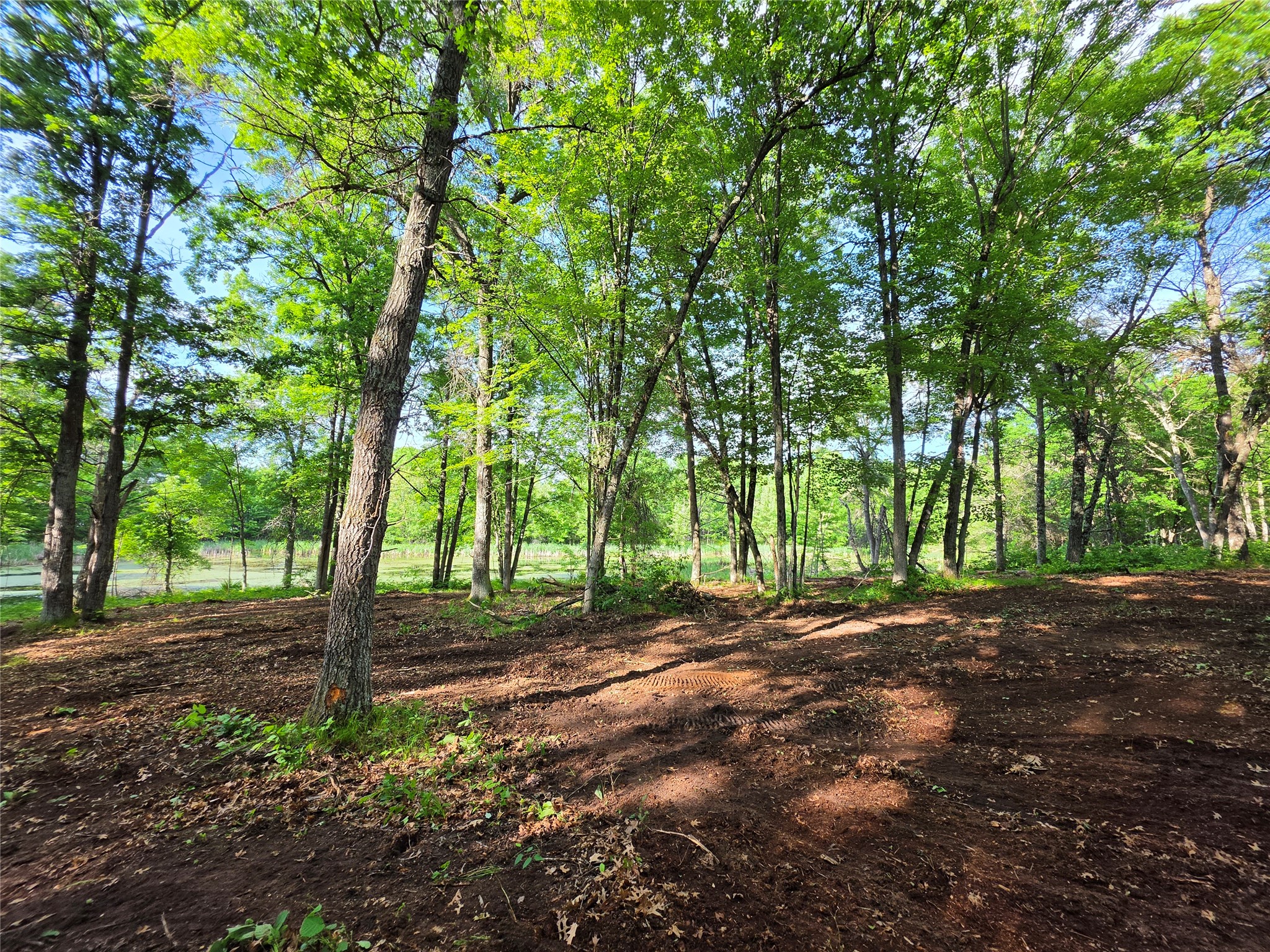 27646 295th (lot 14) Avenue Property Photo 8