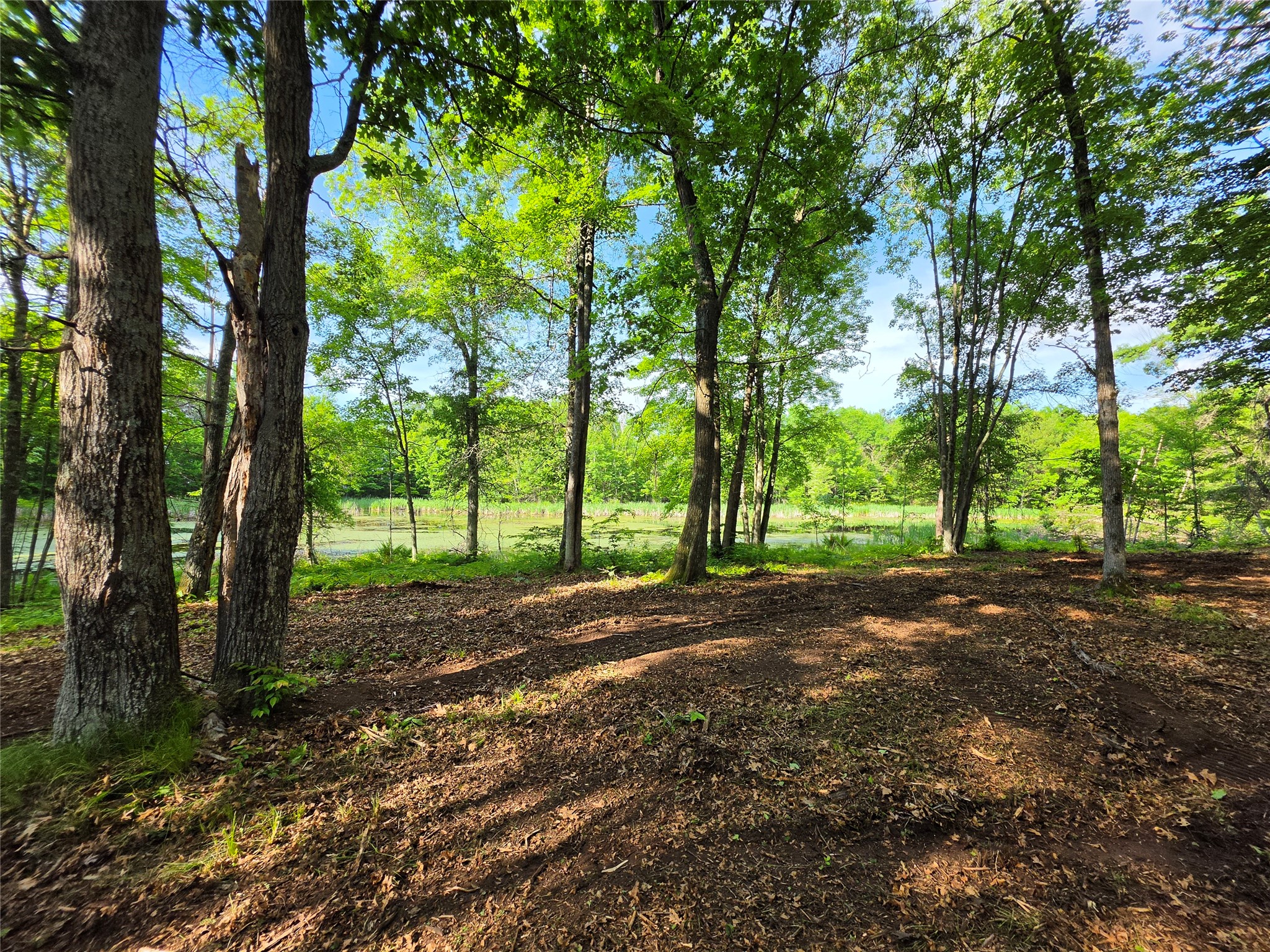 27646 295th (lot 14) Avenue Property Photo 10