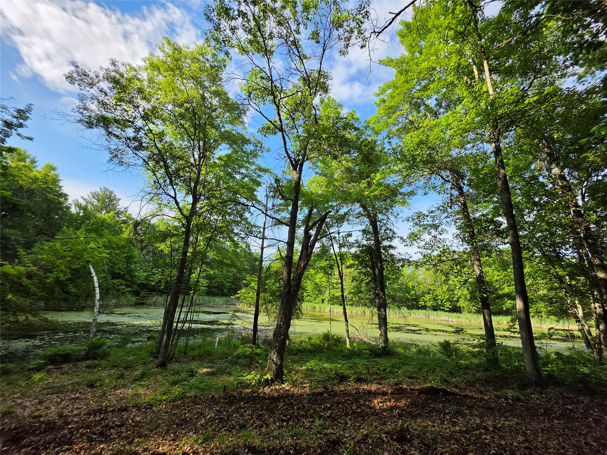 27646 295th (lot 14) Avenue Property Photo 11