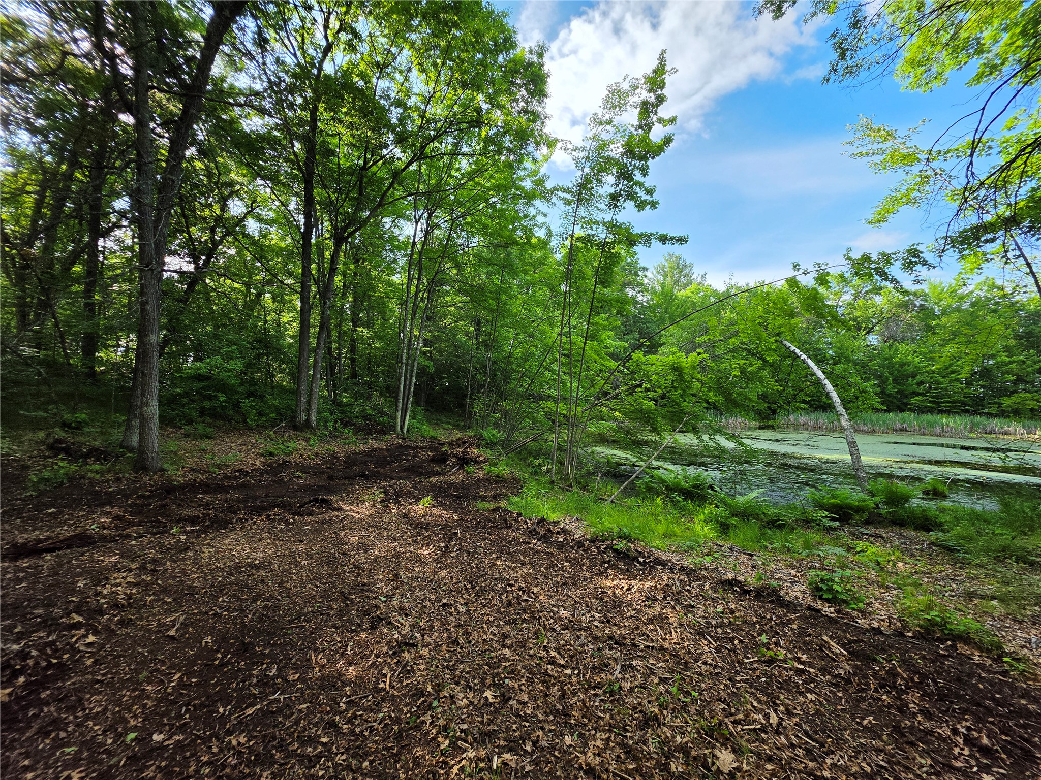 27646 295th (lot 14) Avenue Property Photo 12