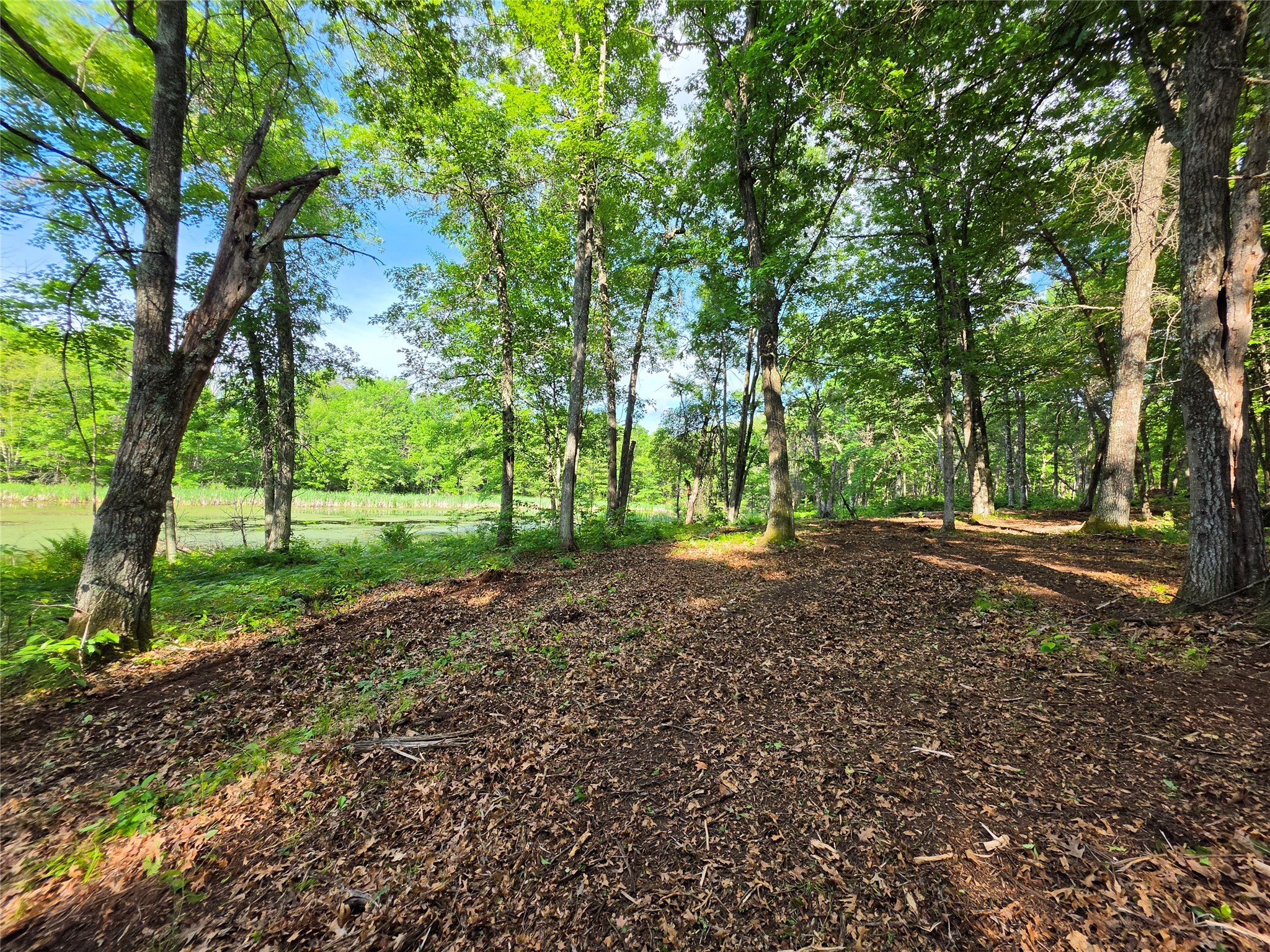 27646 295th (lot 14) Avenue Property Photo 13