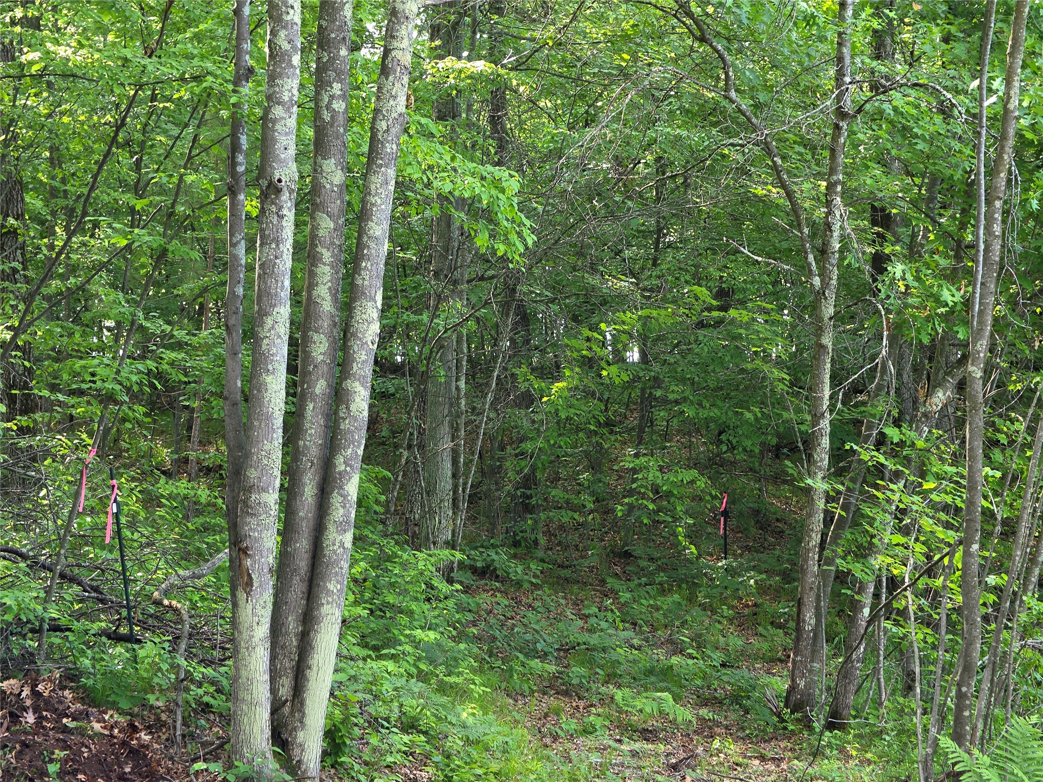 27646 295th (lot 14) Avenue Property Photo 14