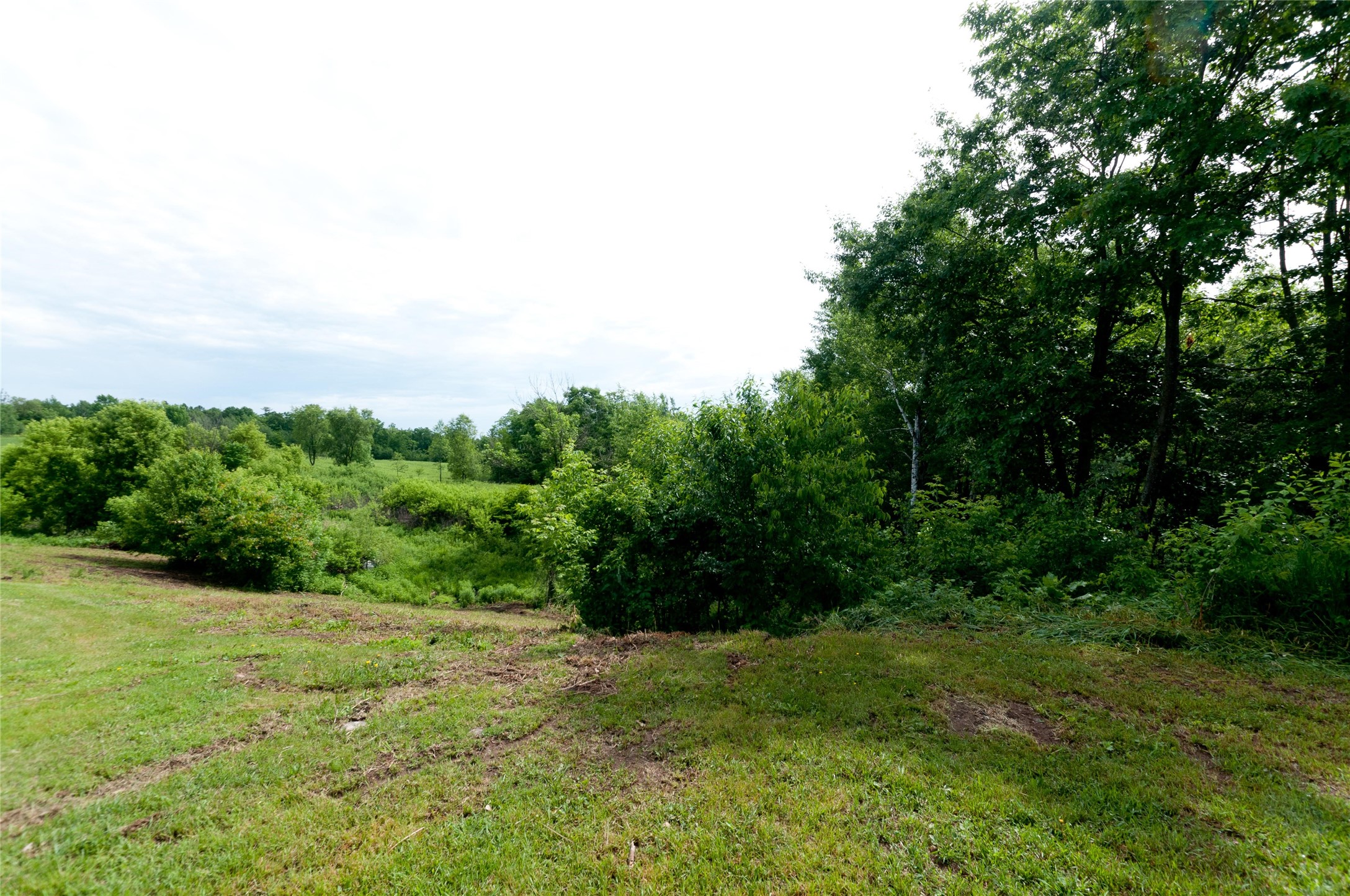 W15991 Random Ridge Road Property Photo 14