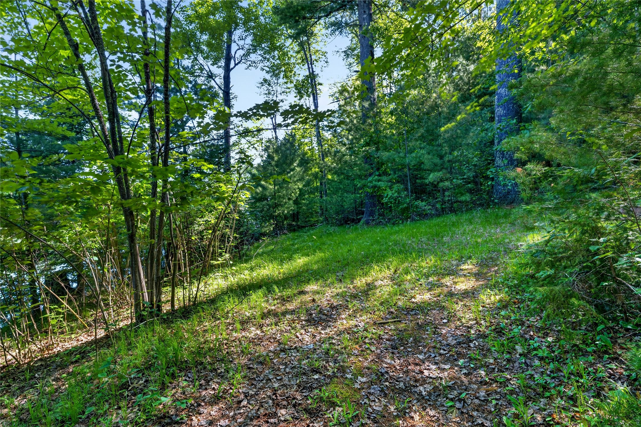 9735 E Acorn Drive Property Photo 25