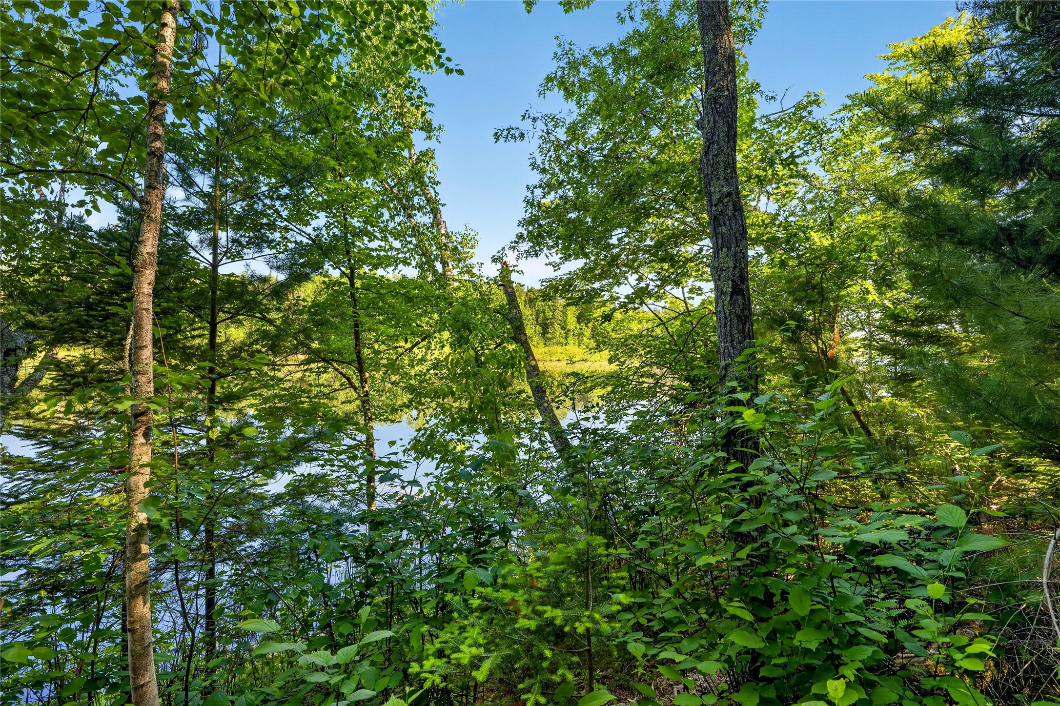 9735 E Acorn Drive Property Photo 27