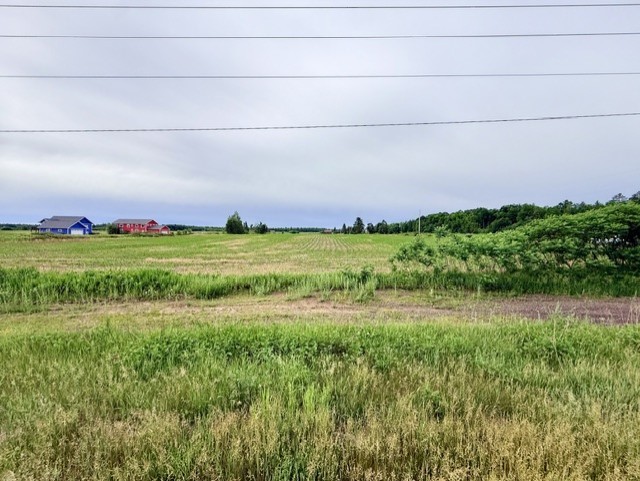 Lots 1 & 2 County Road B Property Photo 1