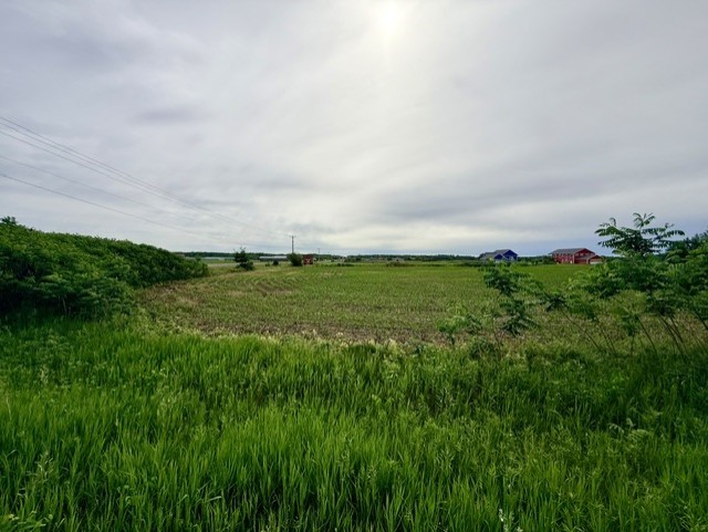 Lots 1 & 2 County Road B Property Photo 2