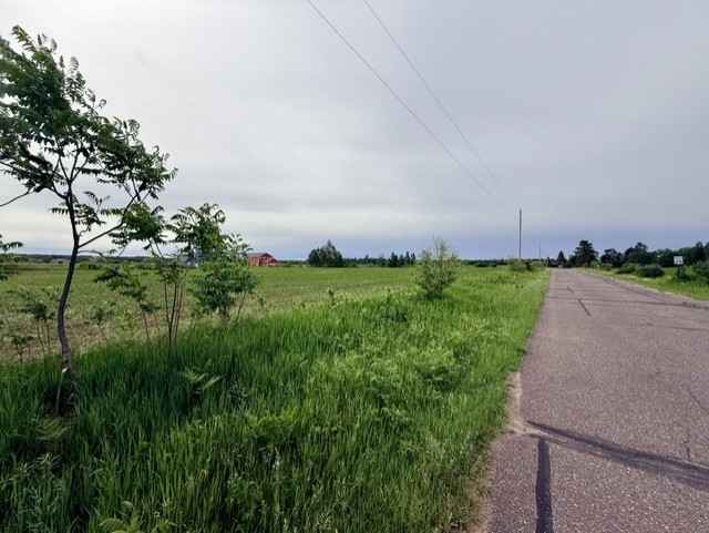 Lots 1 & 2 County Road B Property Photo 3