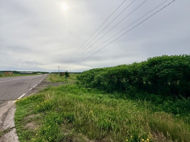 Lots 1 & 2 County Road B Property Photo 4