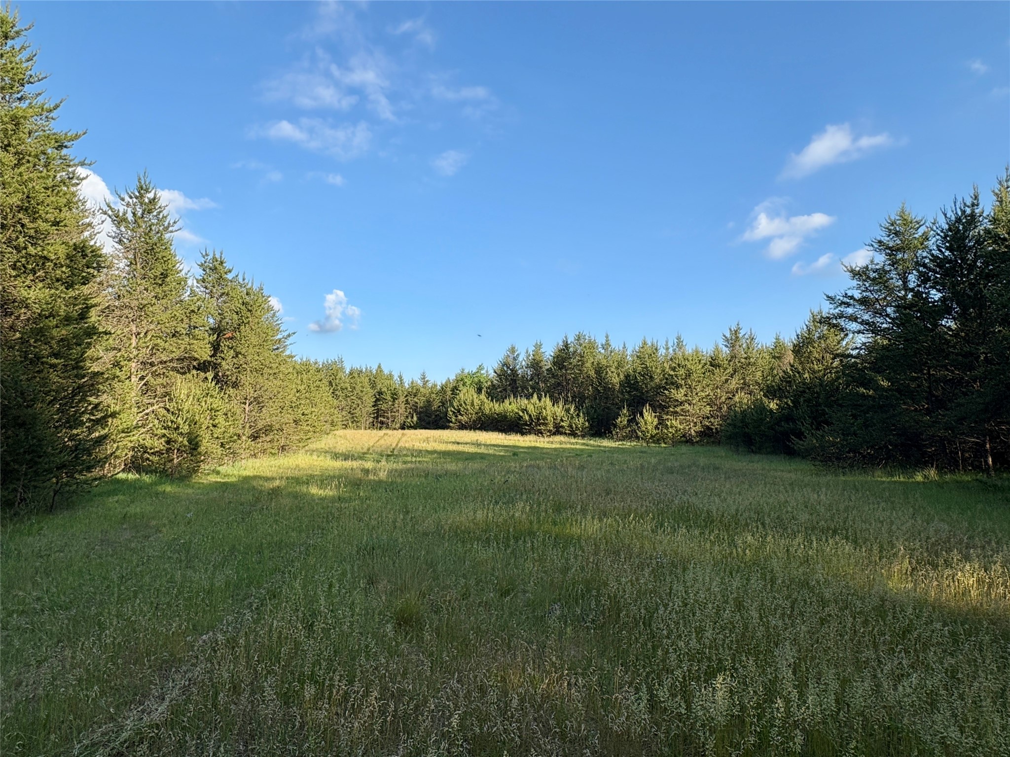 0 County Road Gg Property Photo 1