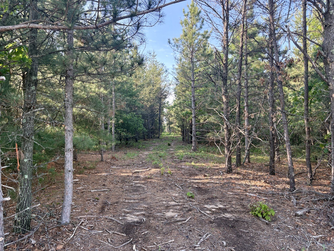 0 County Road Gg Property Photo 21
