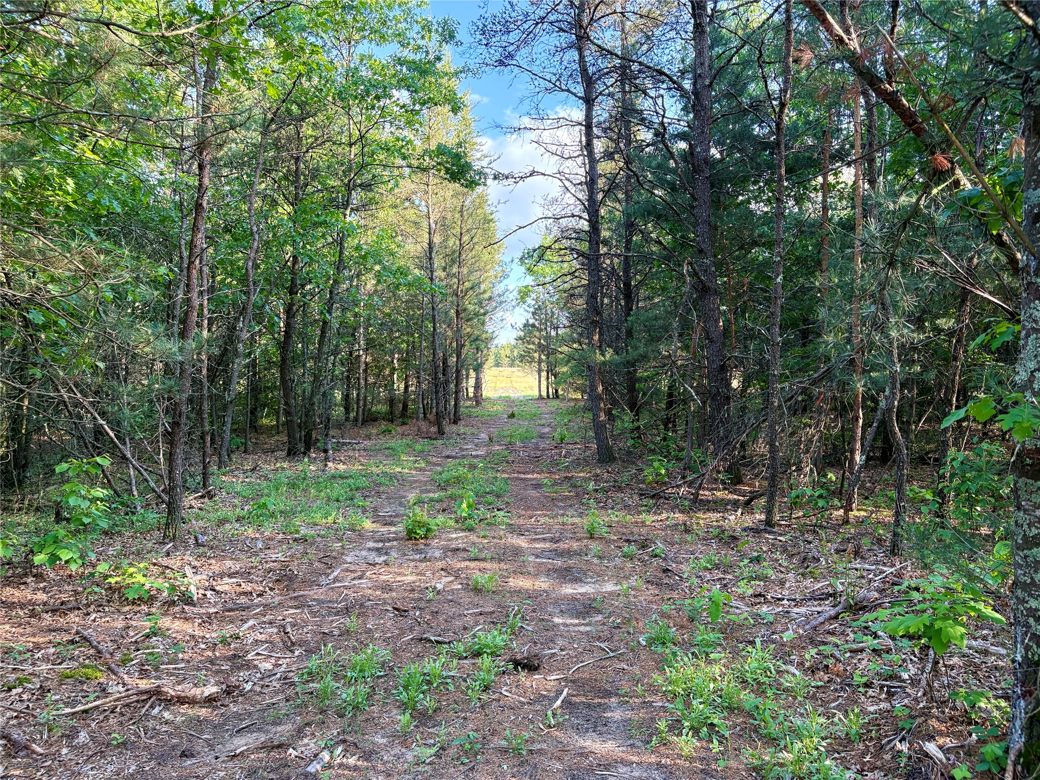 0 County Road Gg Property Photo 22