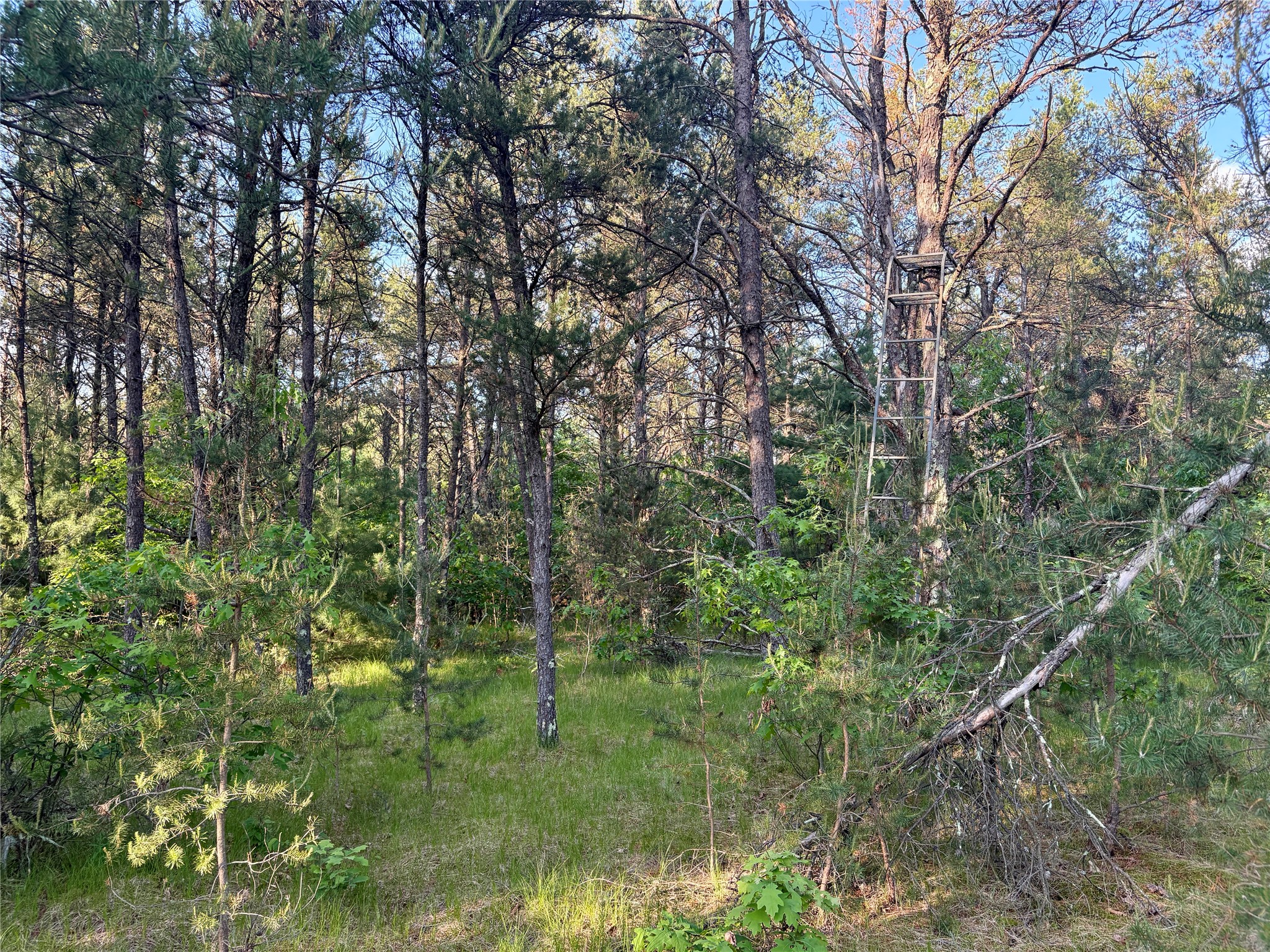 0 County Road Gg Property Photo 31