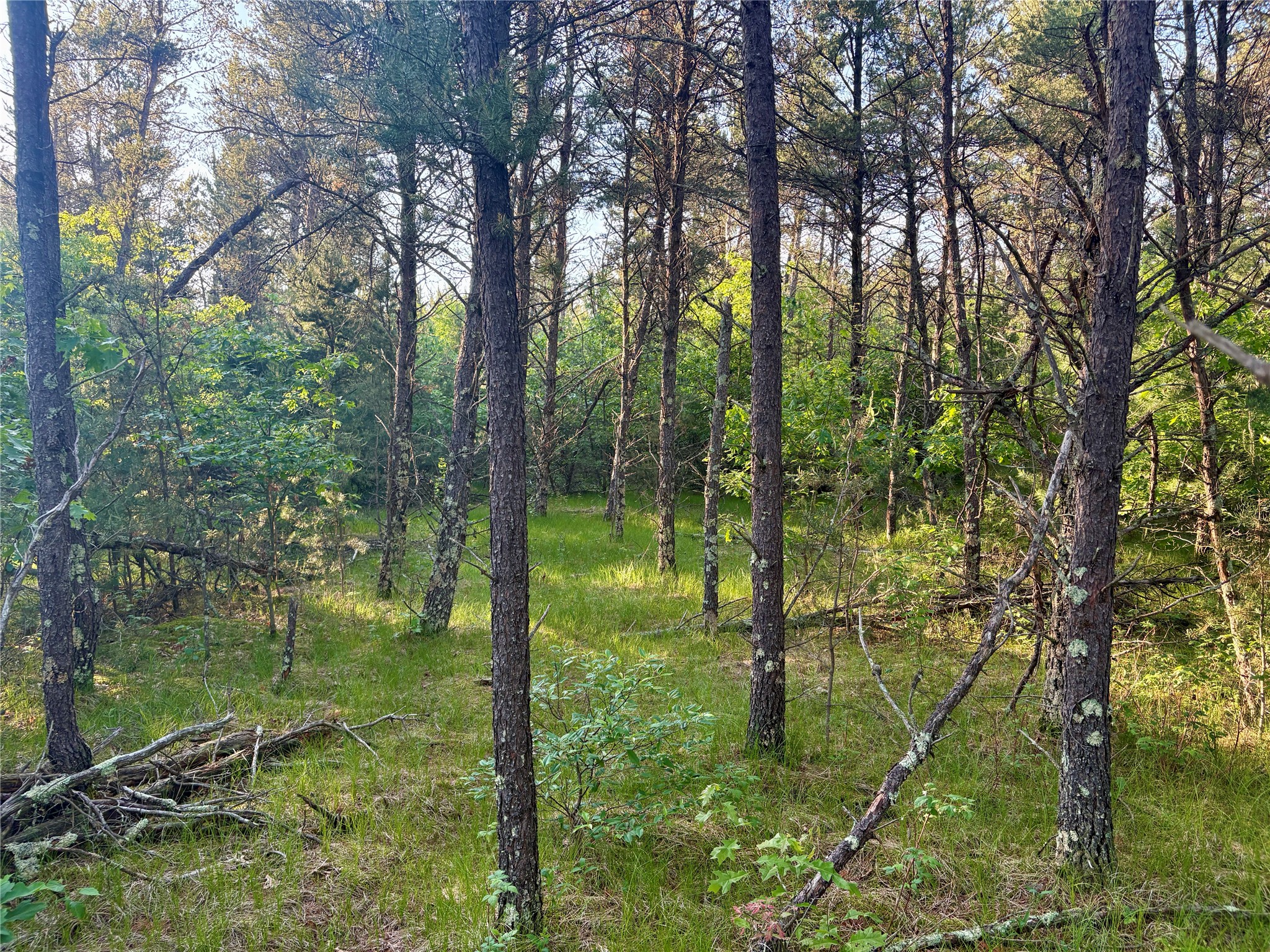 0 County Road Gg Property Photo 32