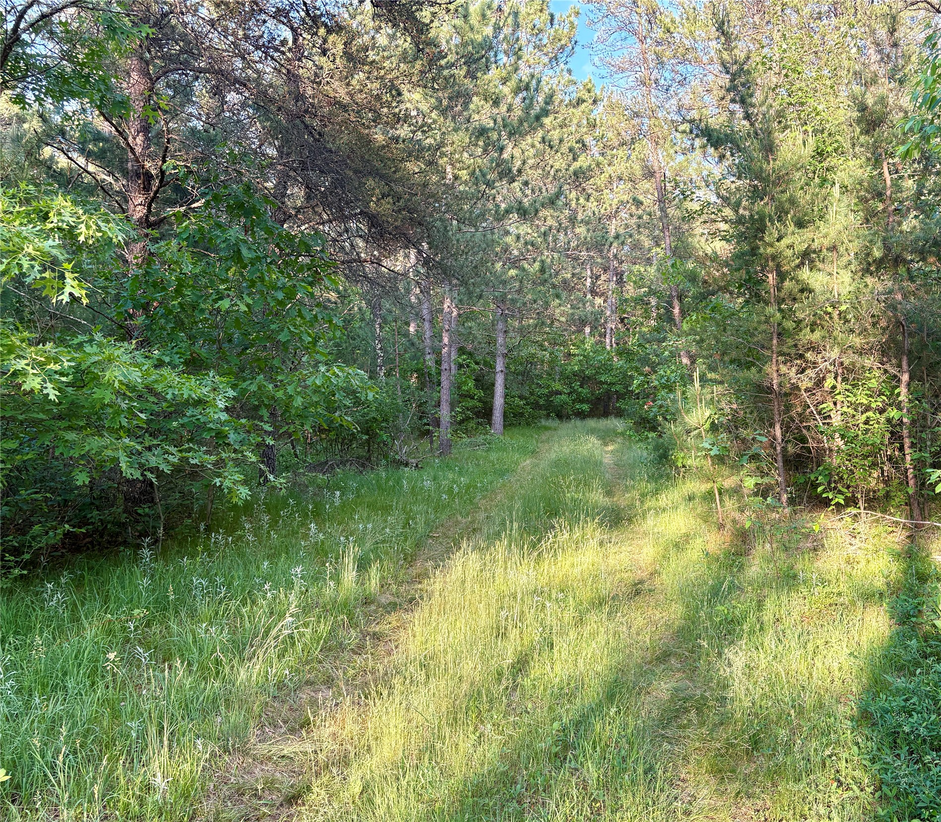 0 County Road Gg Property Photo 43